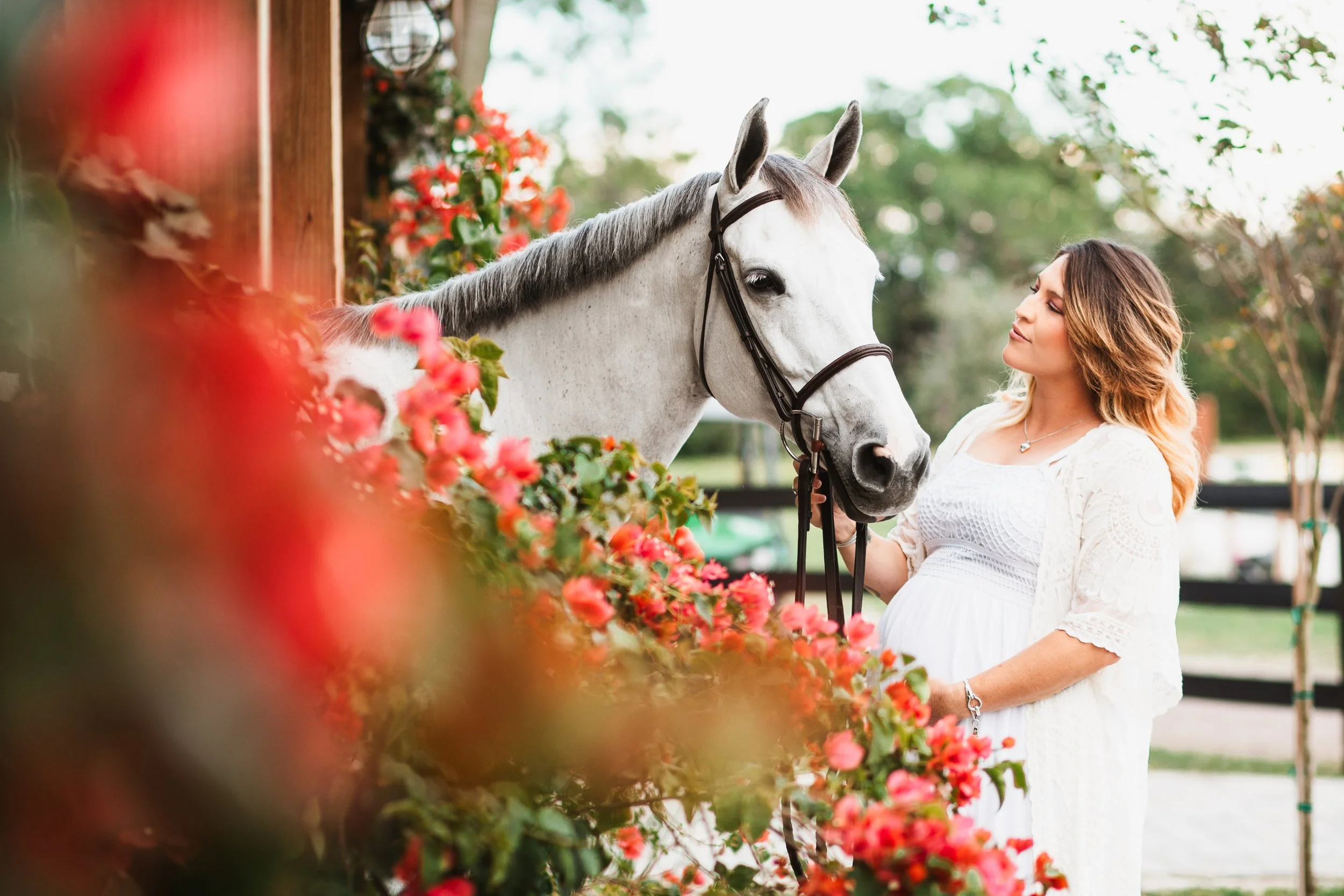 Staisha's Maternity Horse - Equine Photography
