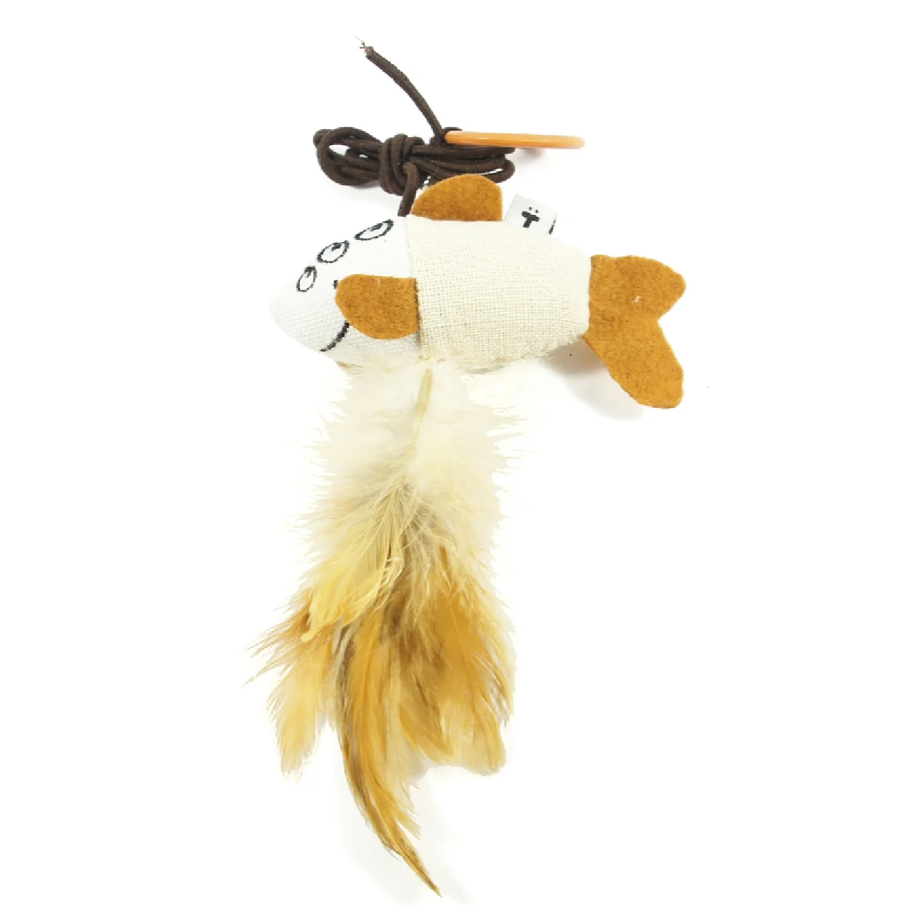 mysterious feather fish