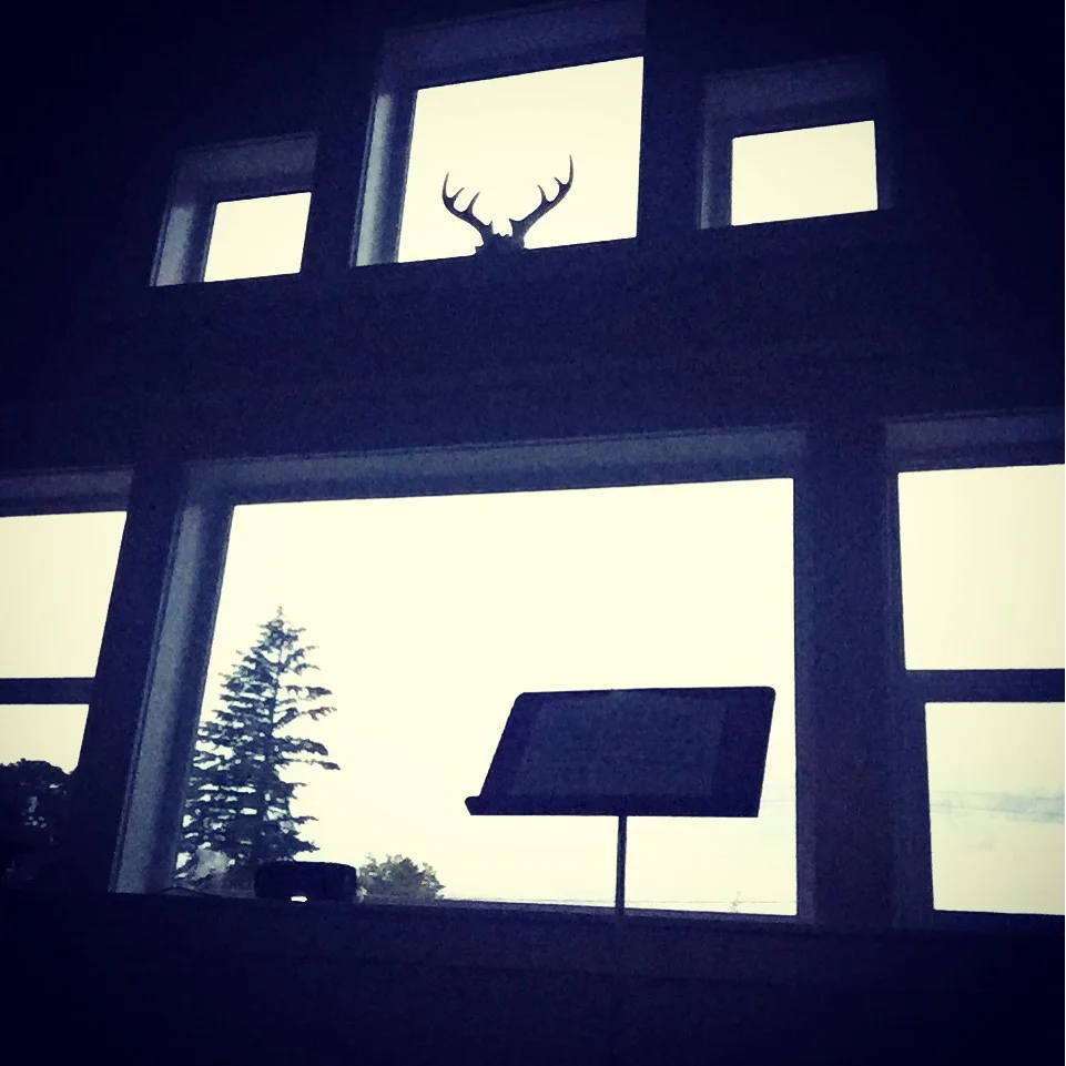 My studio. Love!