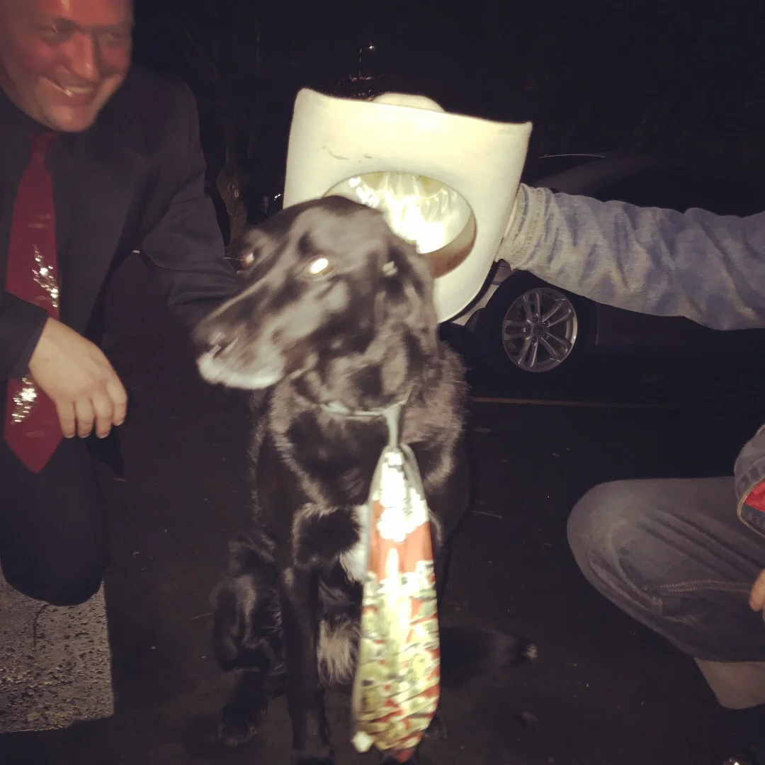 Lallie Pup getting some love from the Barn Door Slammers