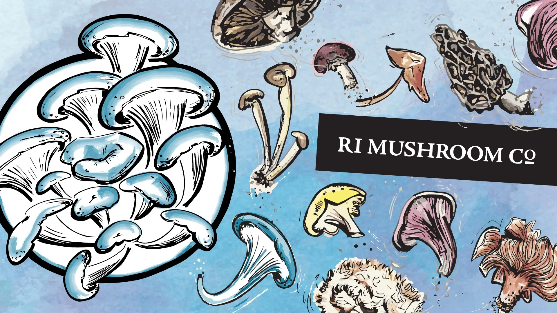 creative execution and brand strategy