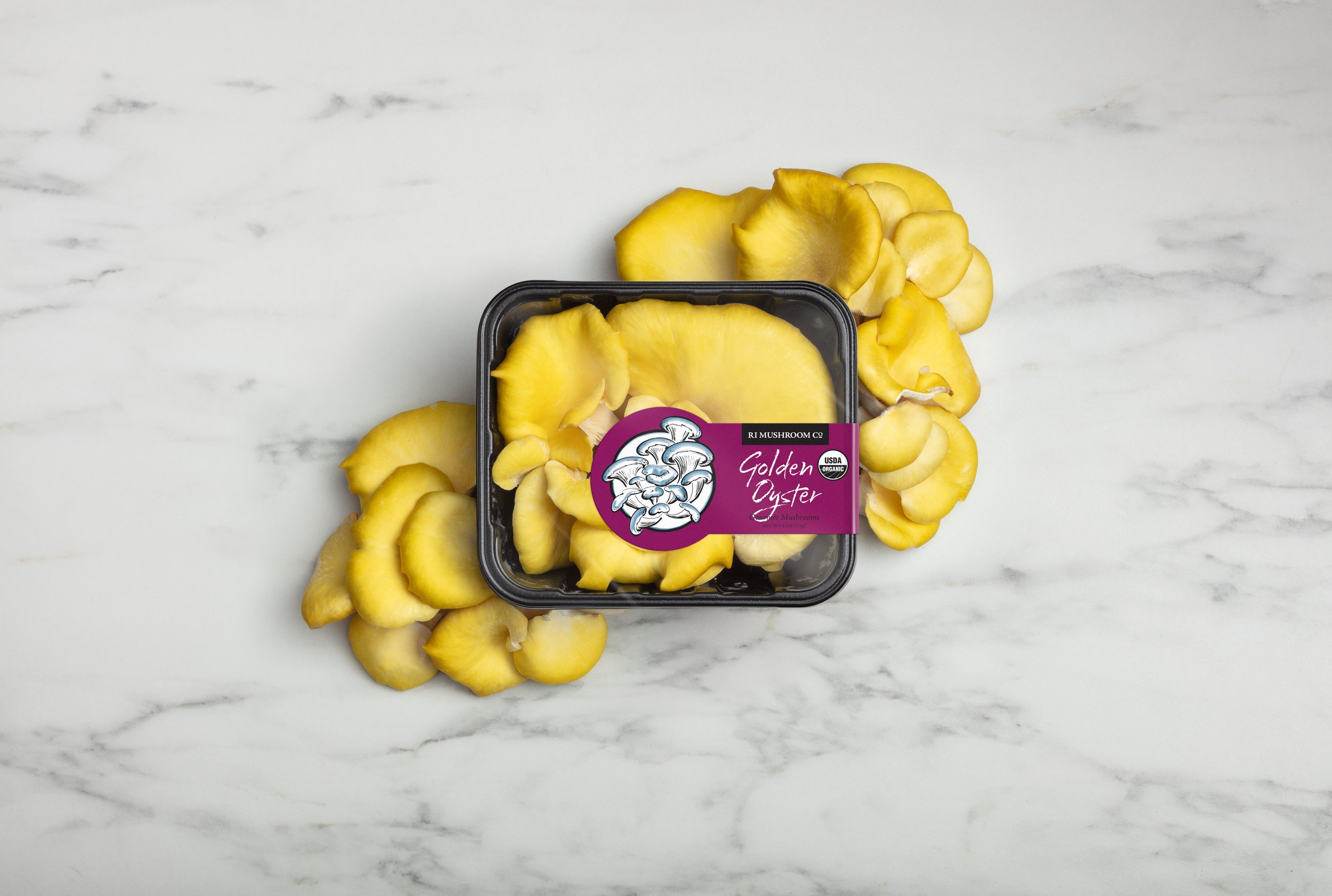 RI-Mushroom_co-layflat-retail_Gold-Oysters-Styled.JPG