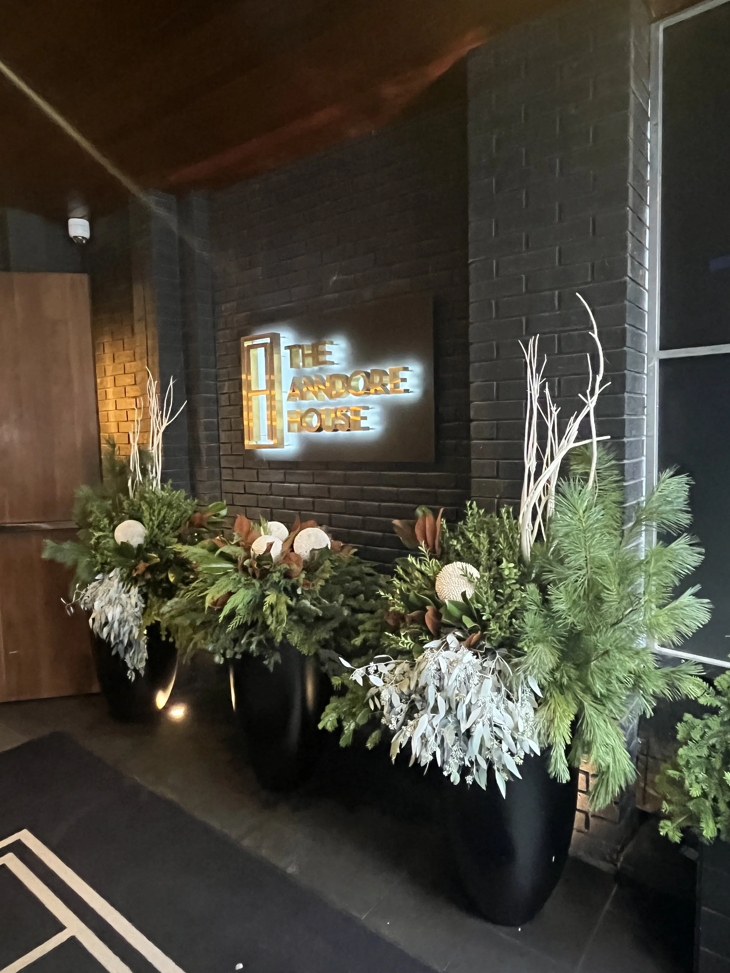 The Above Average Anndore House