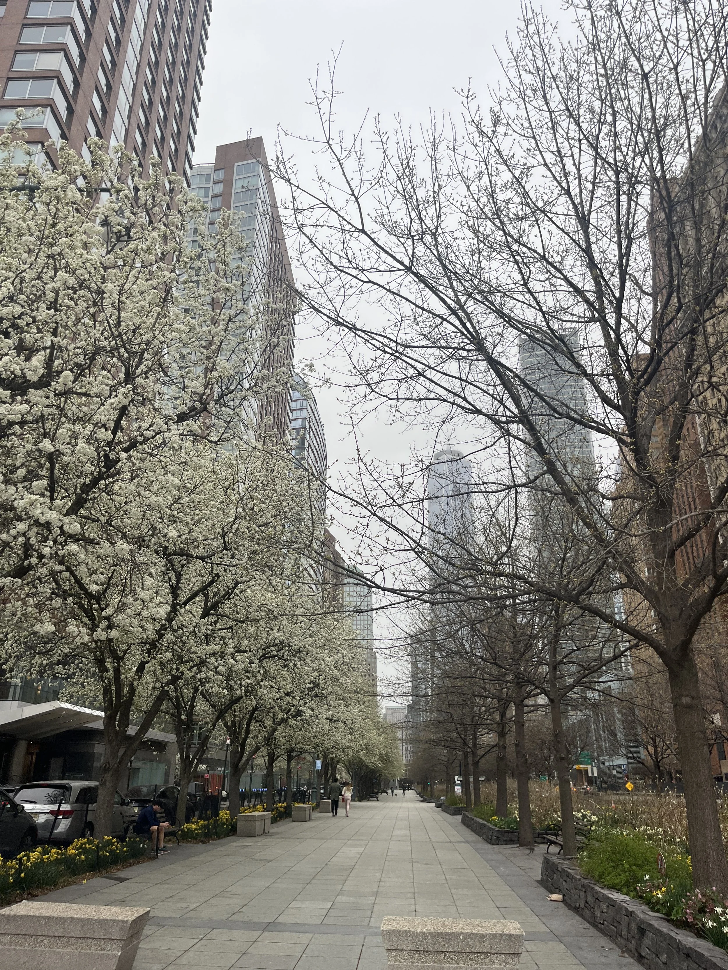 Conrad New York - A Hidden Gem
