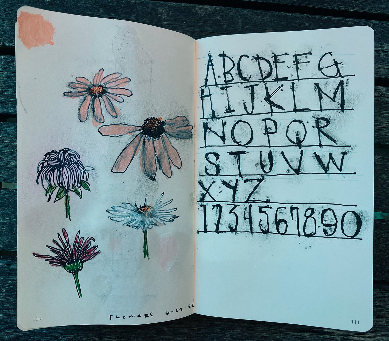 Sketchbook - flowers and type