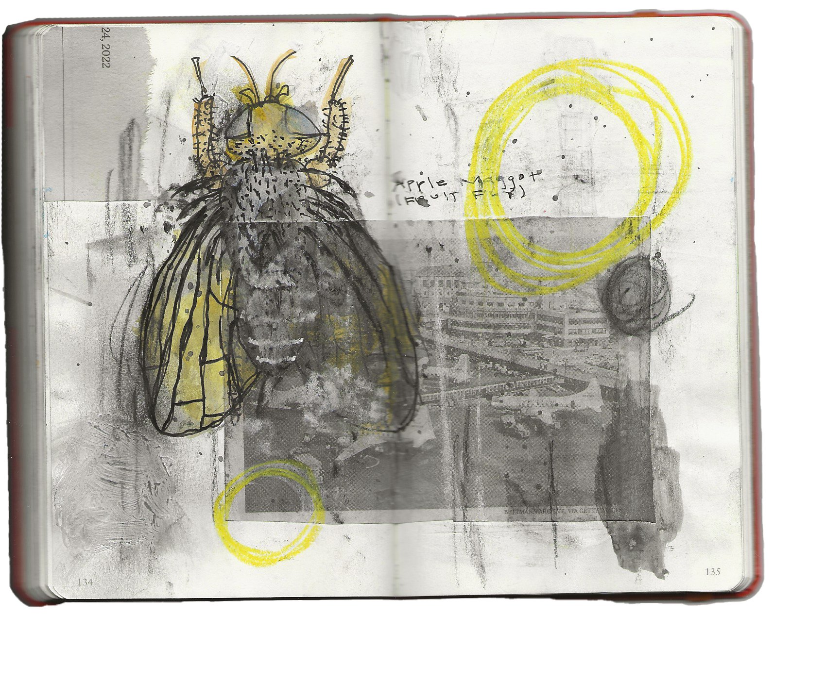 sketchbook - untitled 6