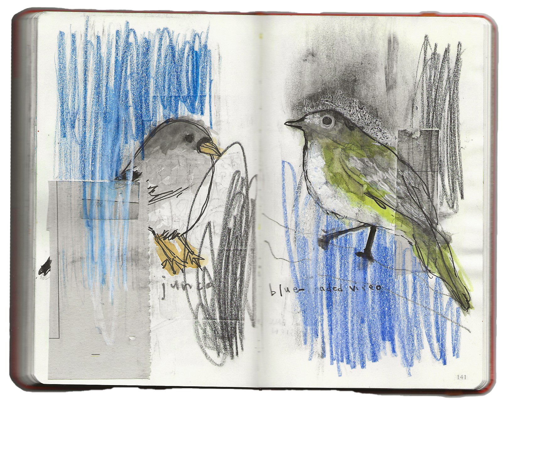 sketchbook - birds on blue