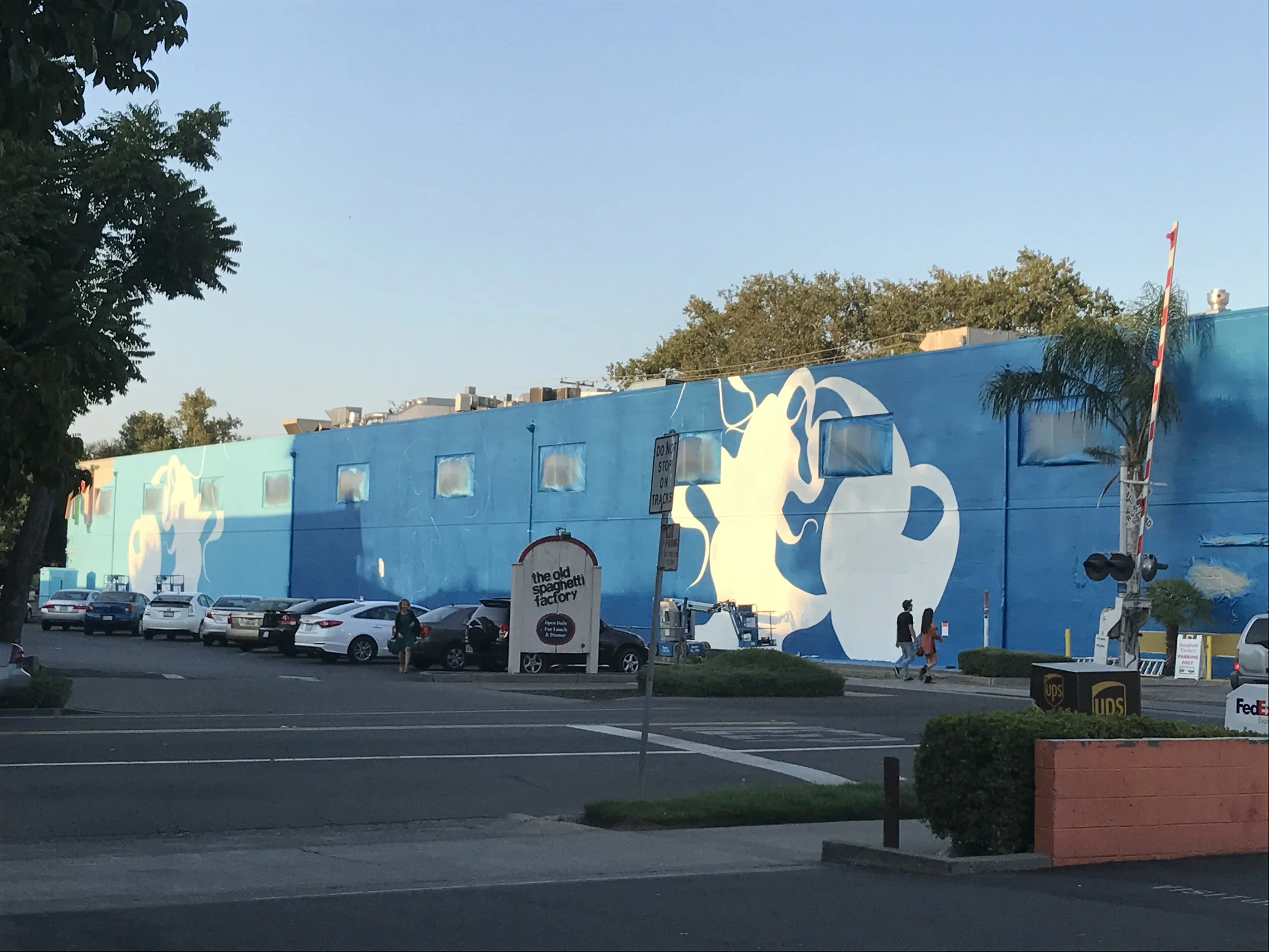 2017-08-11 19.23.51.jpg
