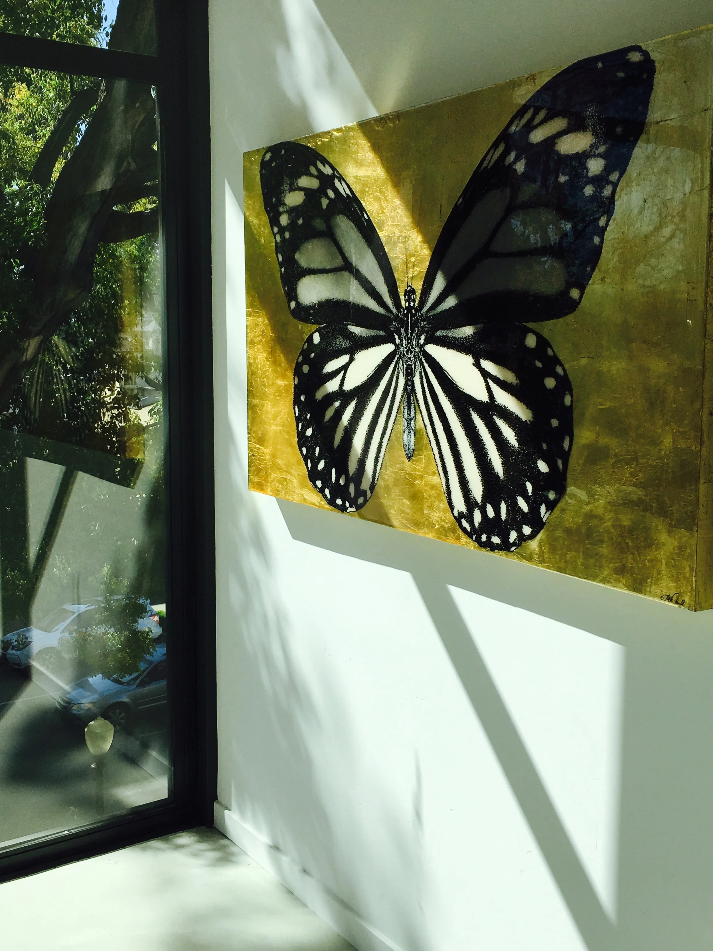 Butterfly1.jpeg