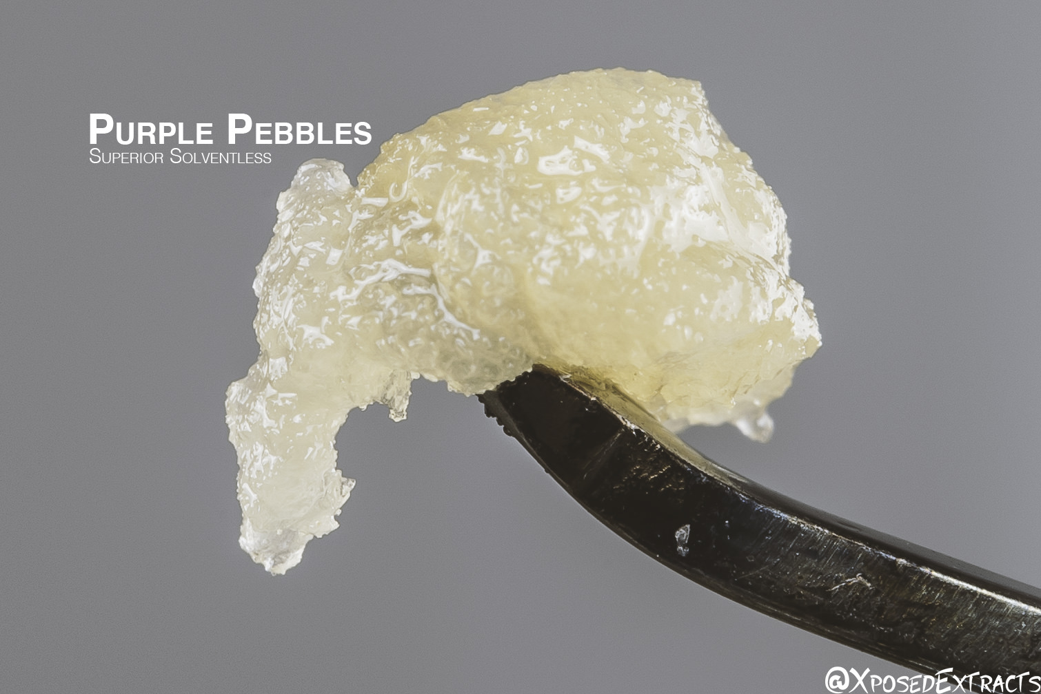 Purple_Pebbles.jpg