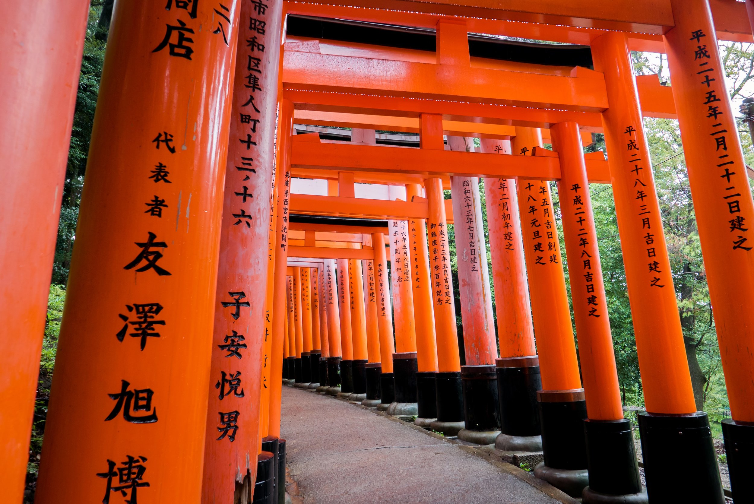 orange.jpg