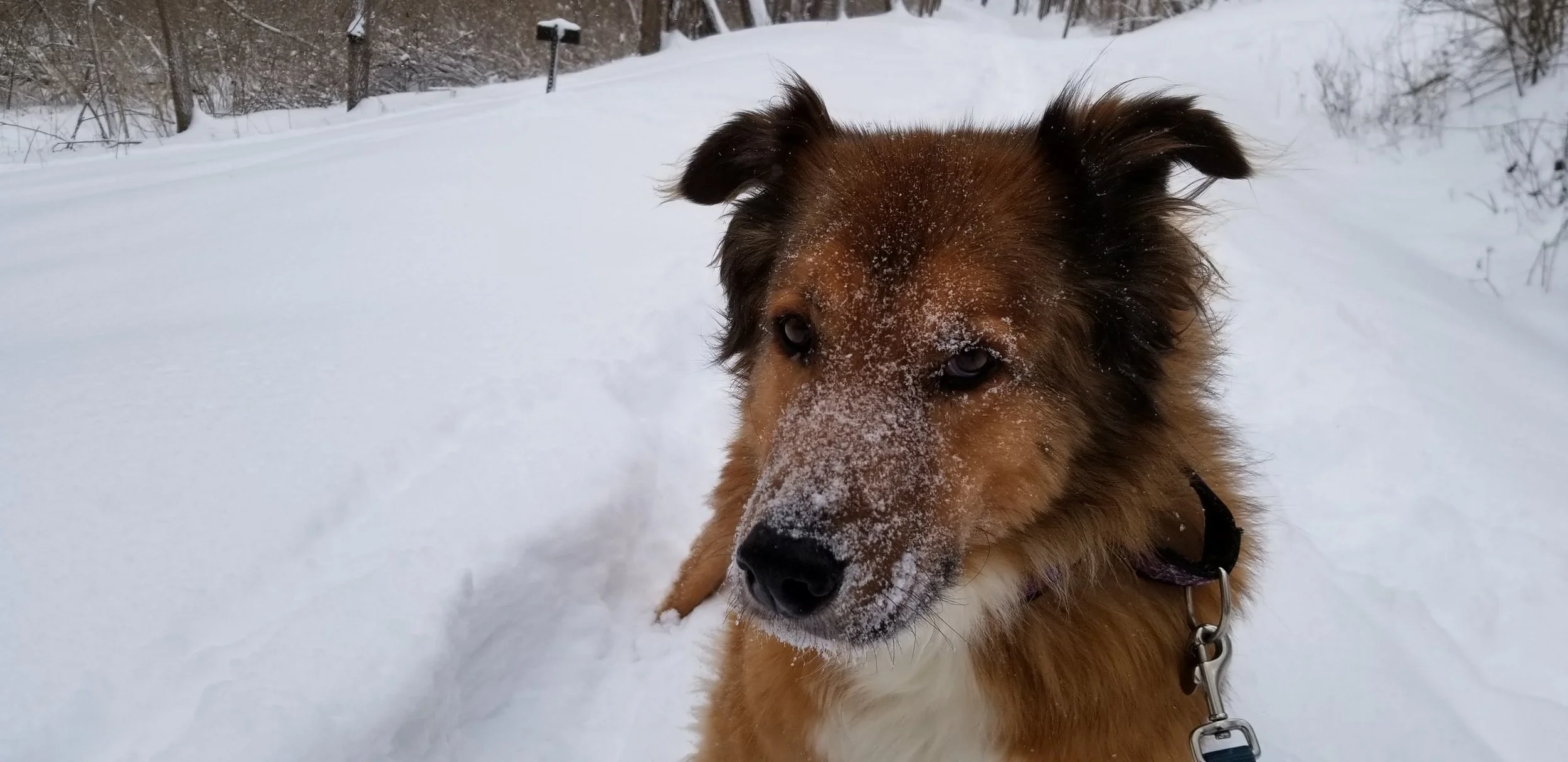 20190120_105534.jpg