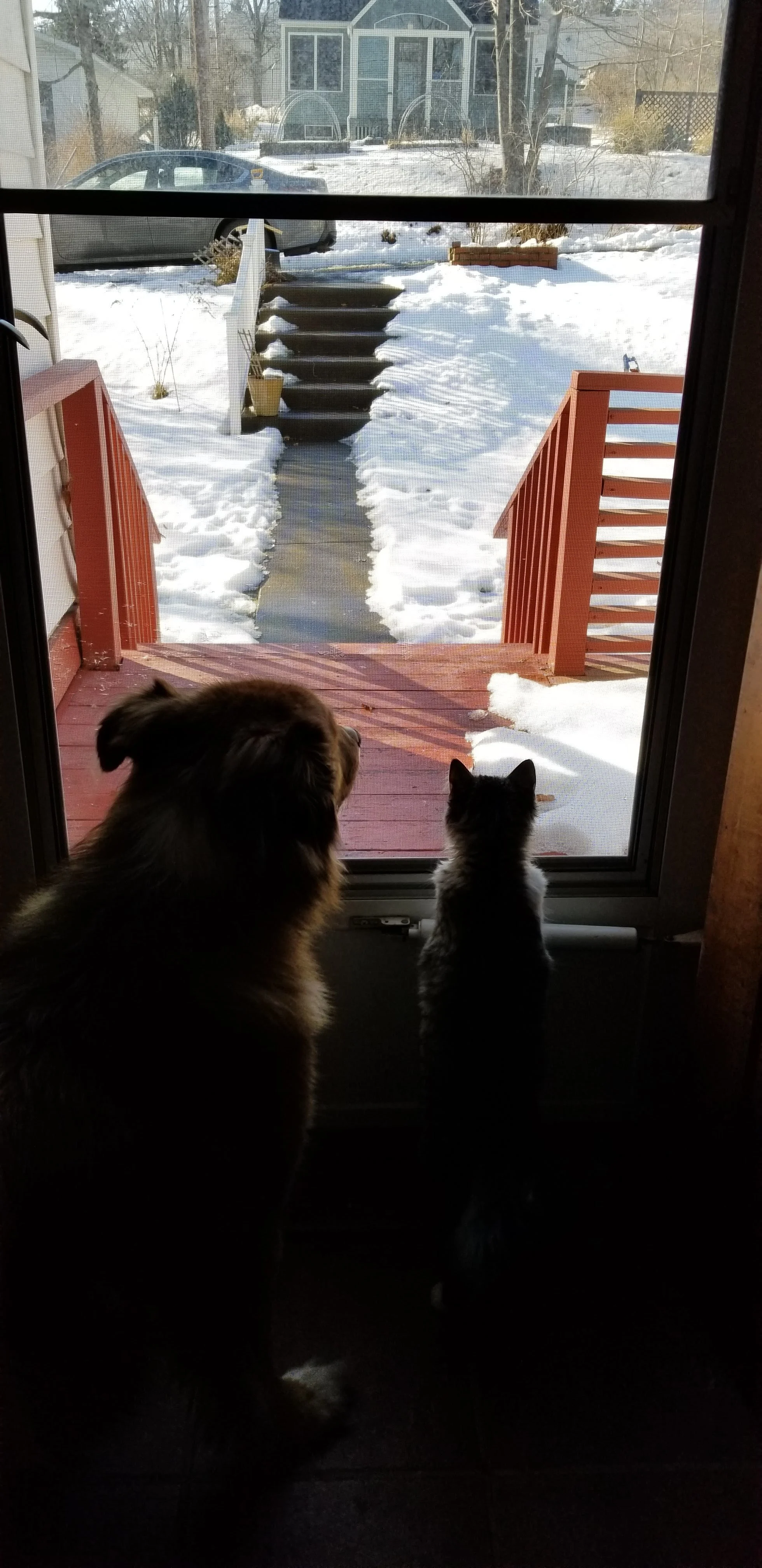 20190204_095314.jpg