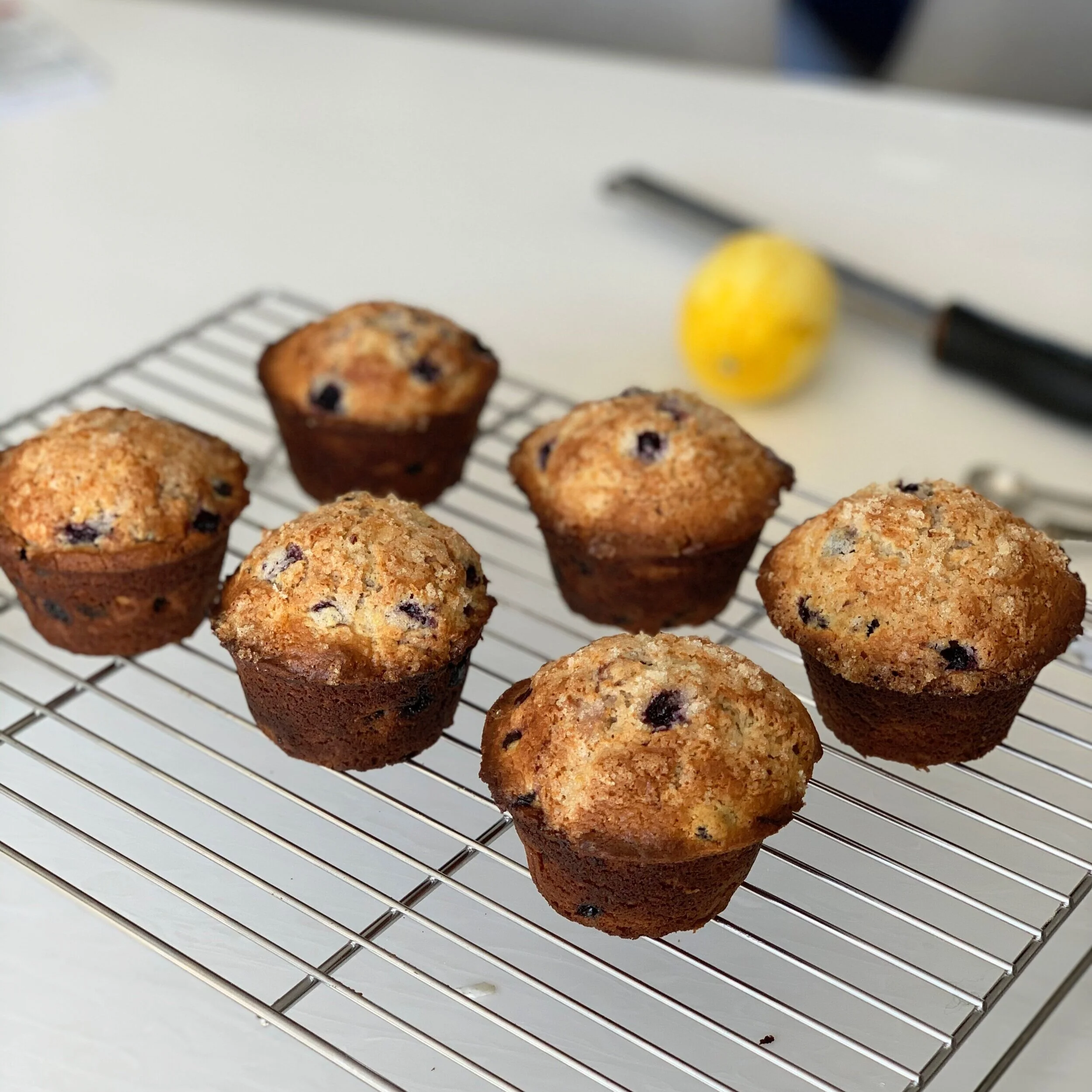 Lemon Blueberry Muffins