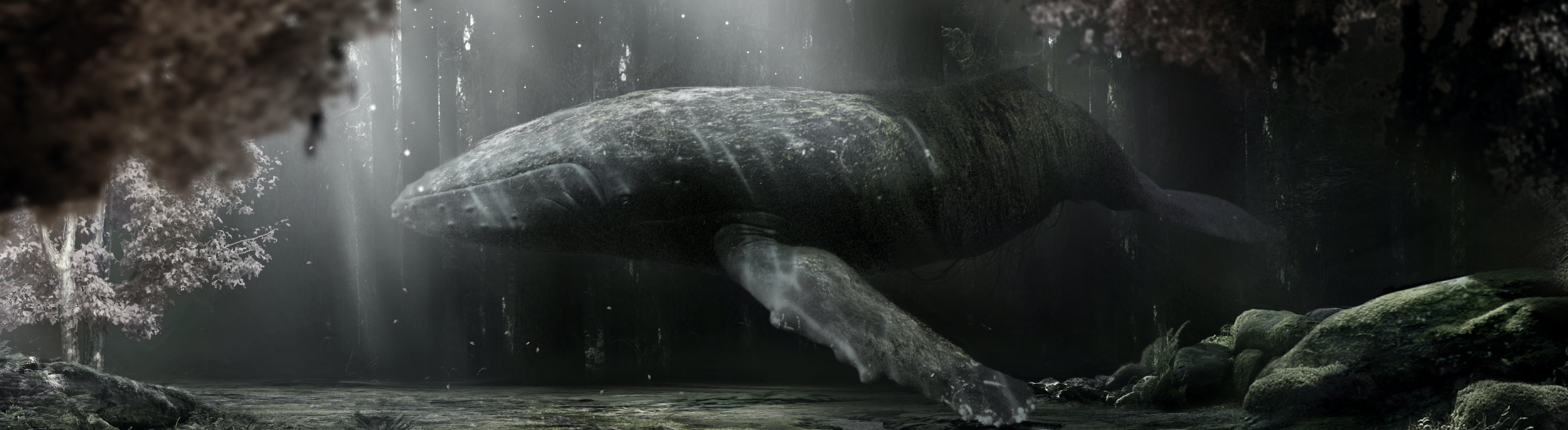 Screen Shot 2019-02-24 at 9.45.43 PM.png