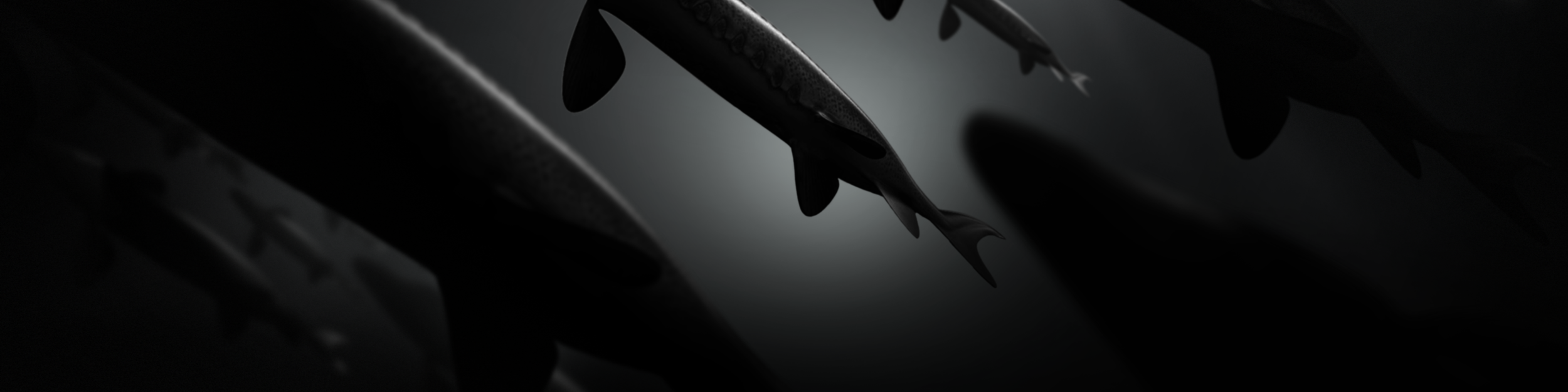 Screen Shot 2019-02-24 at 9.49.39 PM.png