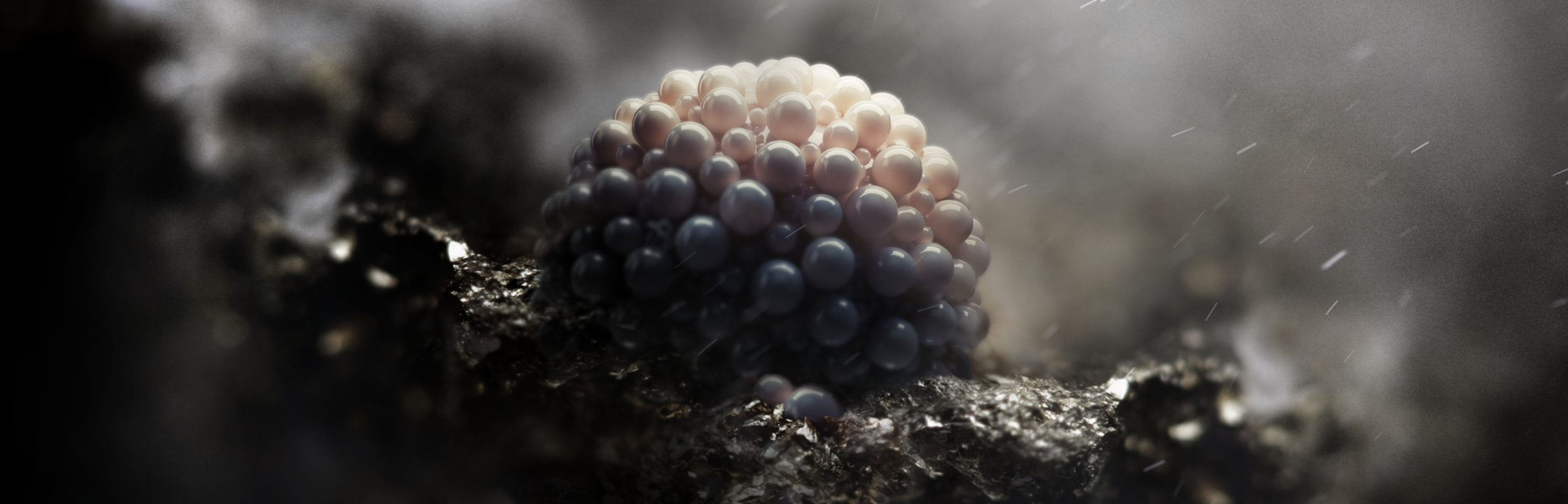 Screen Shot 2019-03-04 at 8.56.50 PM.png