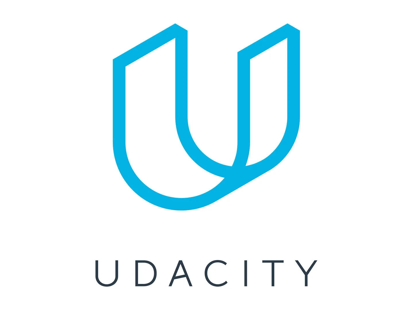 UDACITY_001.jpg