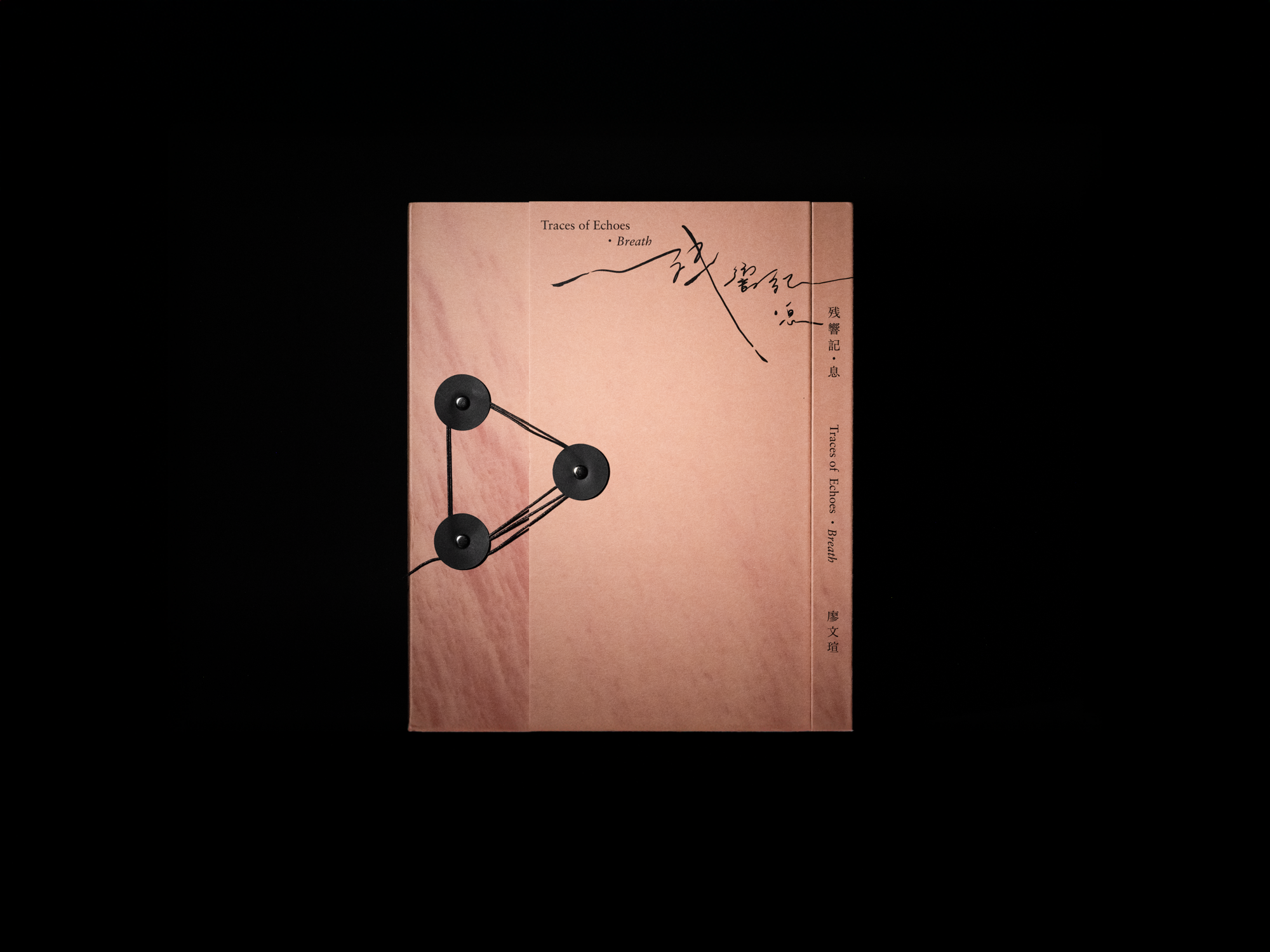 残響記_PPHOTO_small_-10.png