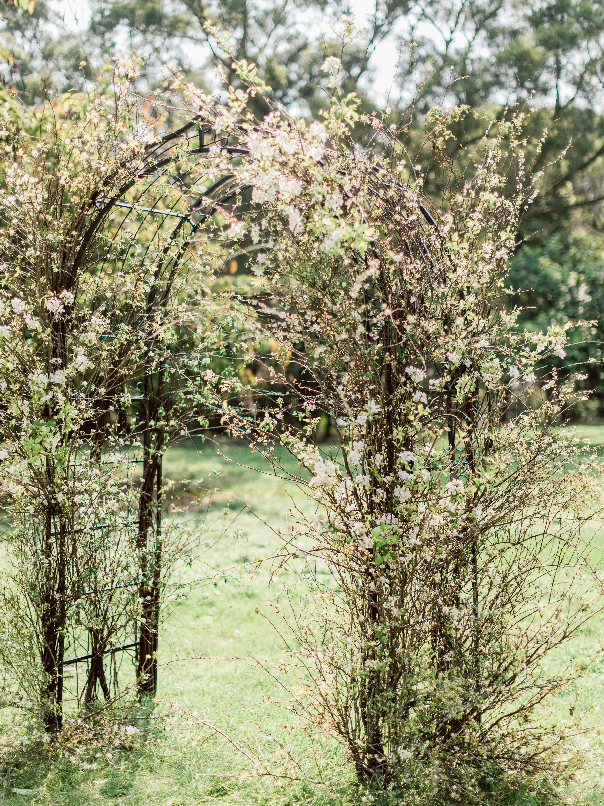 Yen Pasture - 顏氏花藝-028.jpg