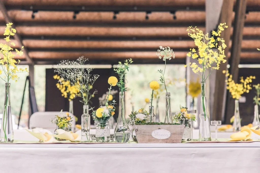 Playground 遊樂園