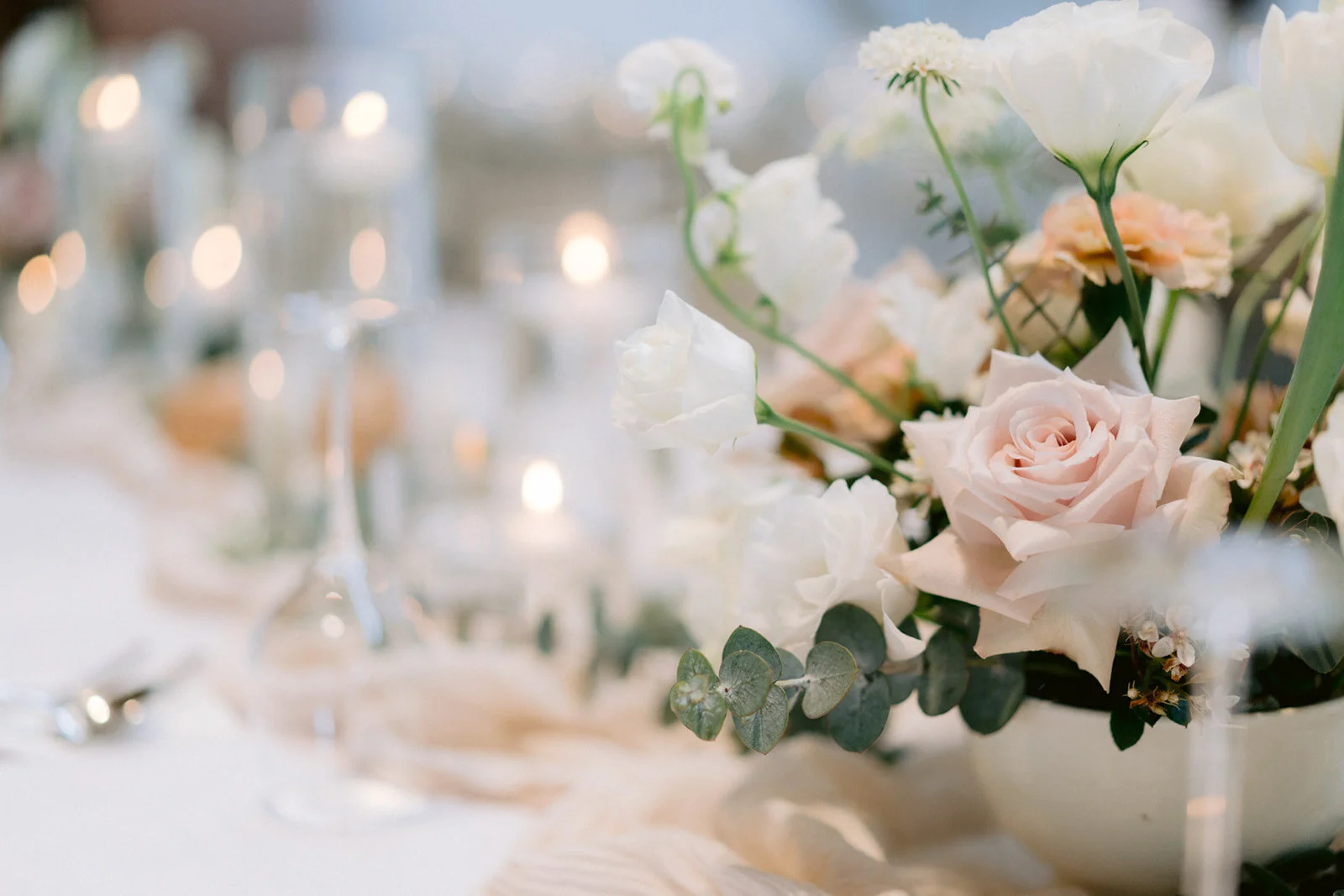 Summer Dream 仲夏夜之夢