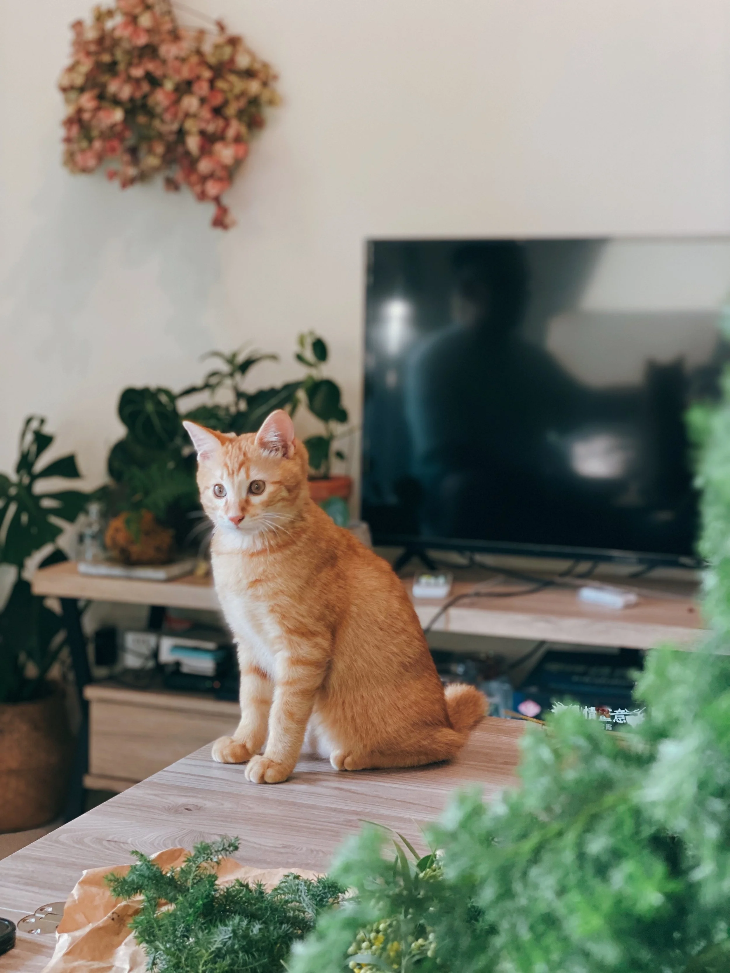 劃掉了人生清單之一