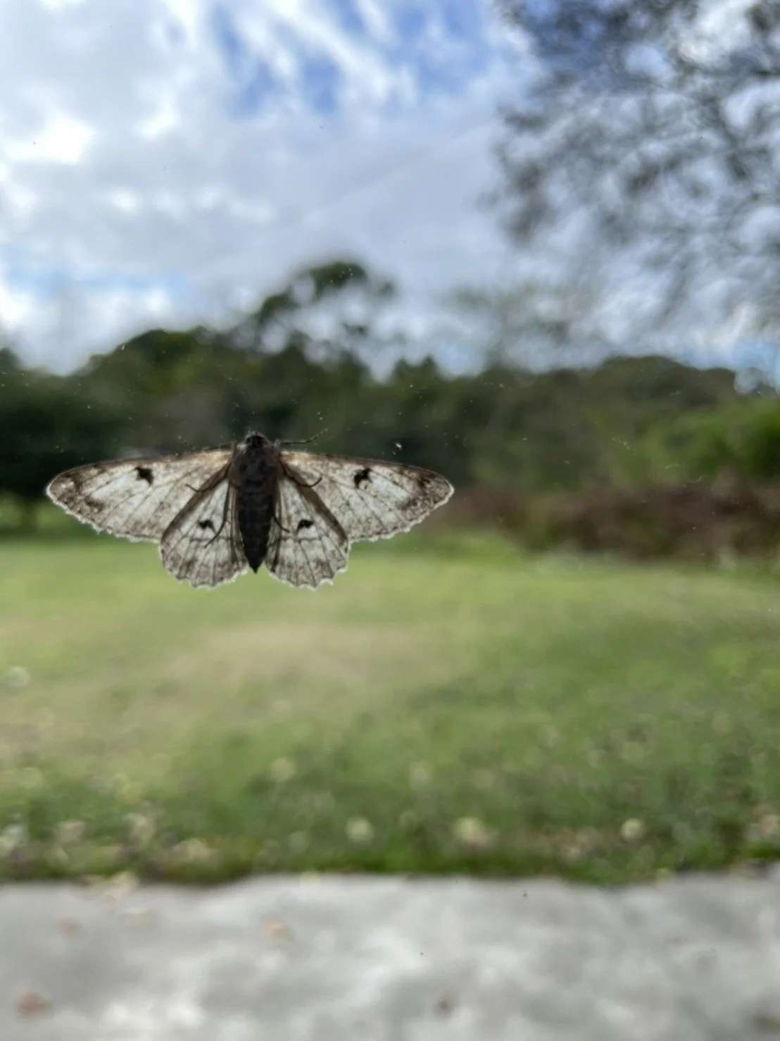 超硬派美食大搜查