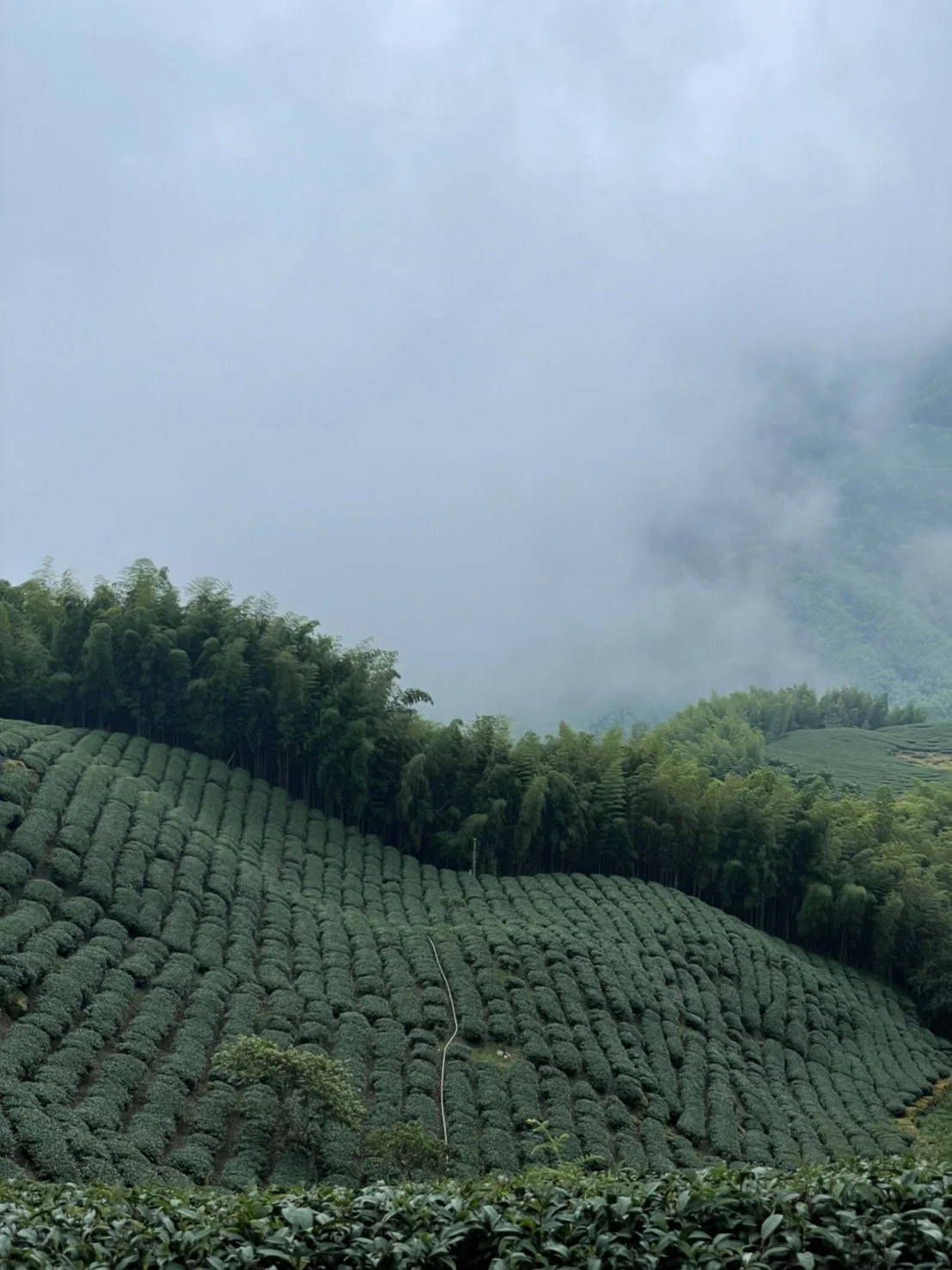 一些斷帶與片刻