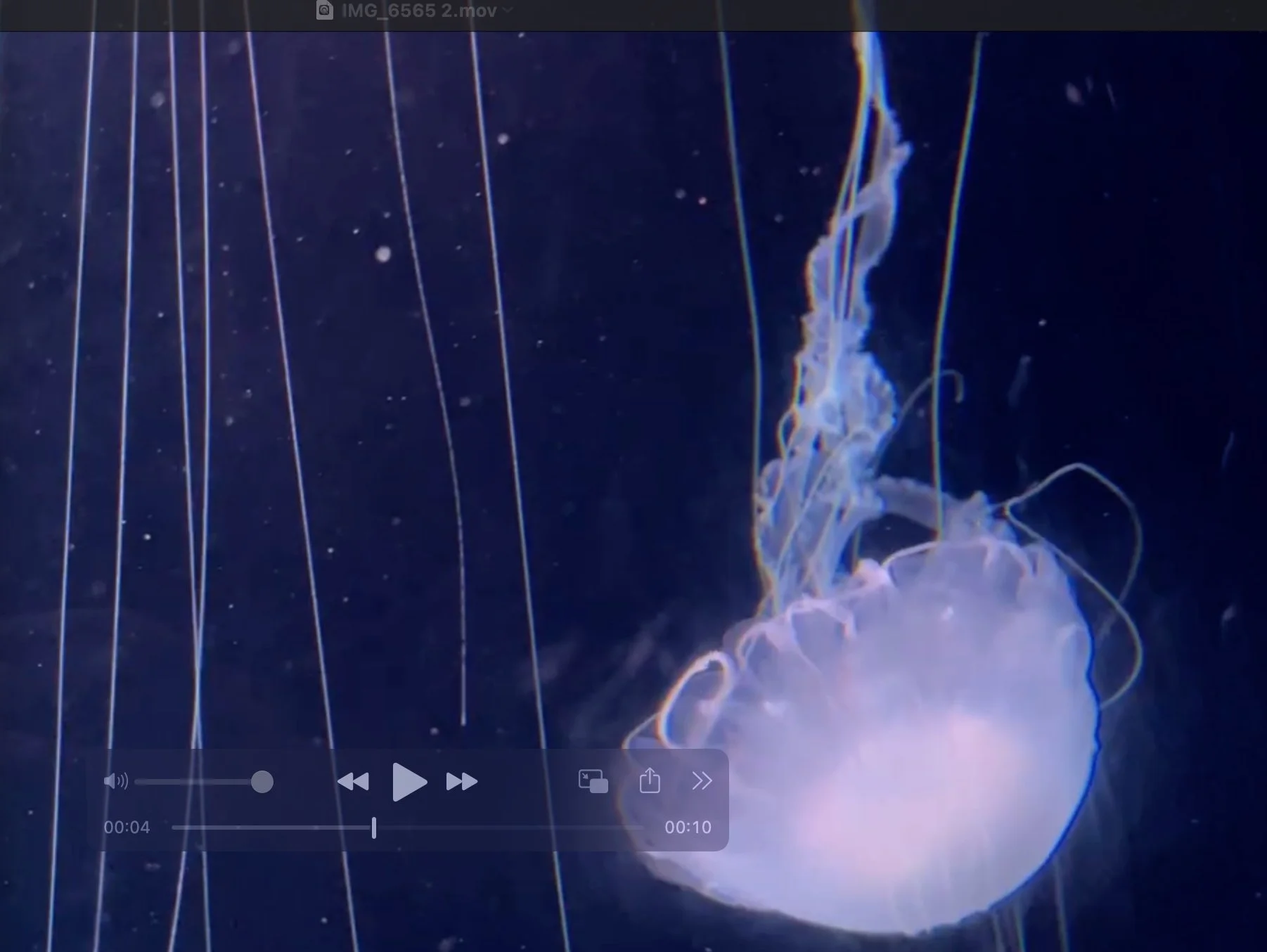 關於倒數求婚。