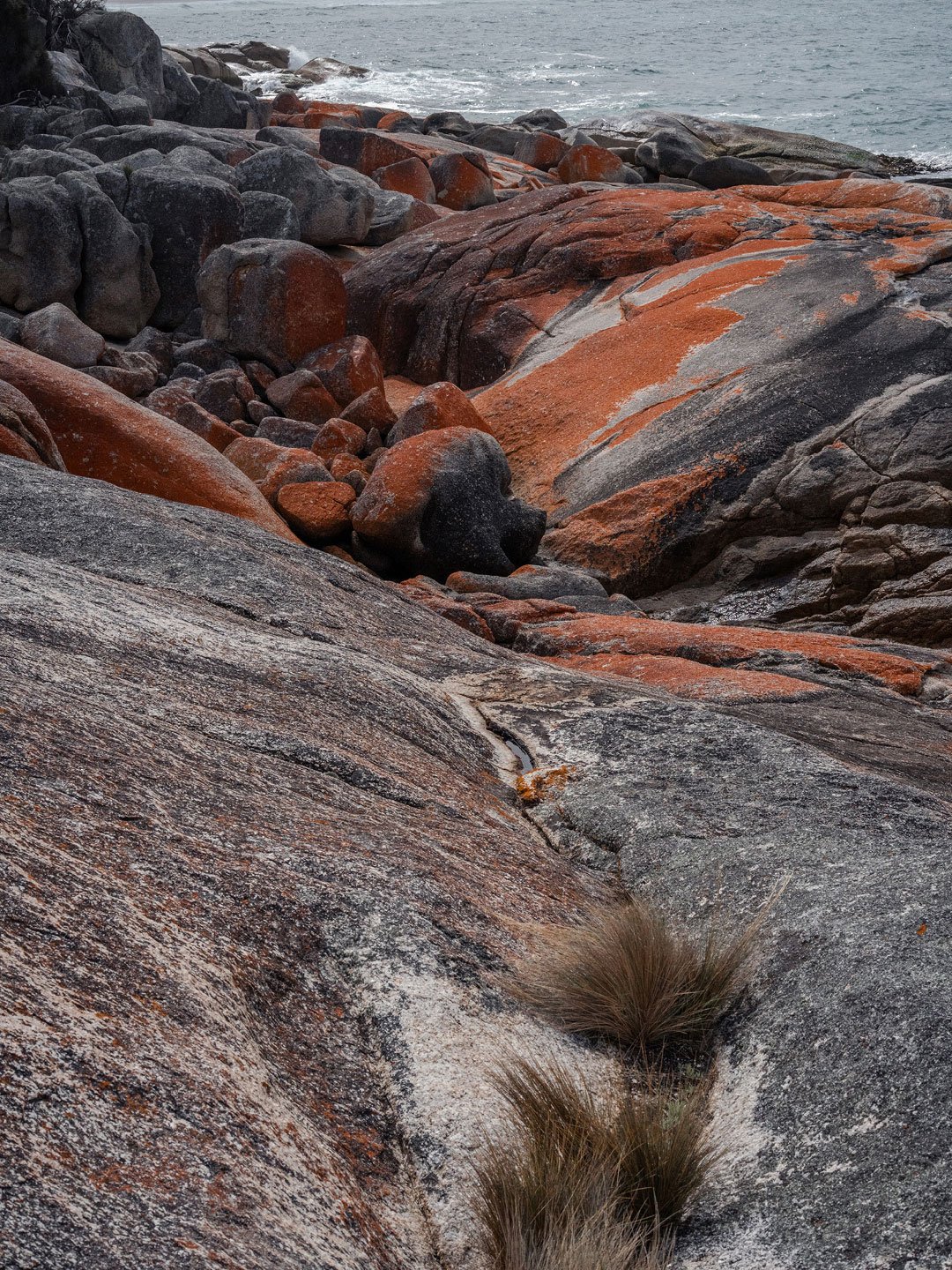 Textured granite rocks and orange lichen at Bay of Fires