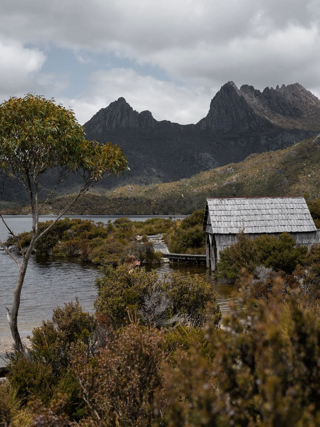 Rustic cabin beside Cradle Mountain wilderness in Tasmania