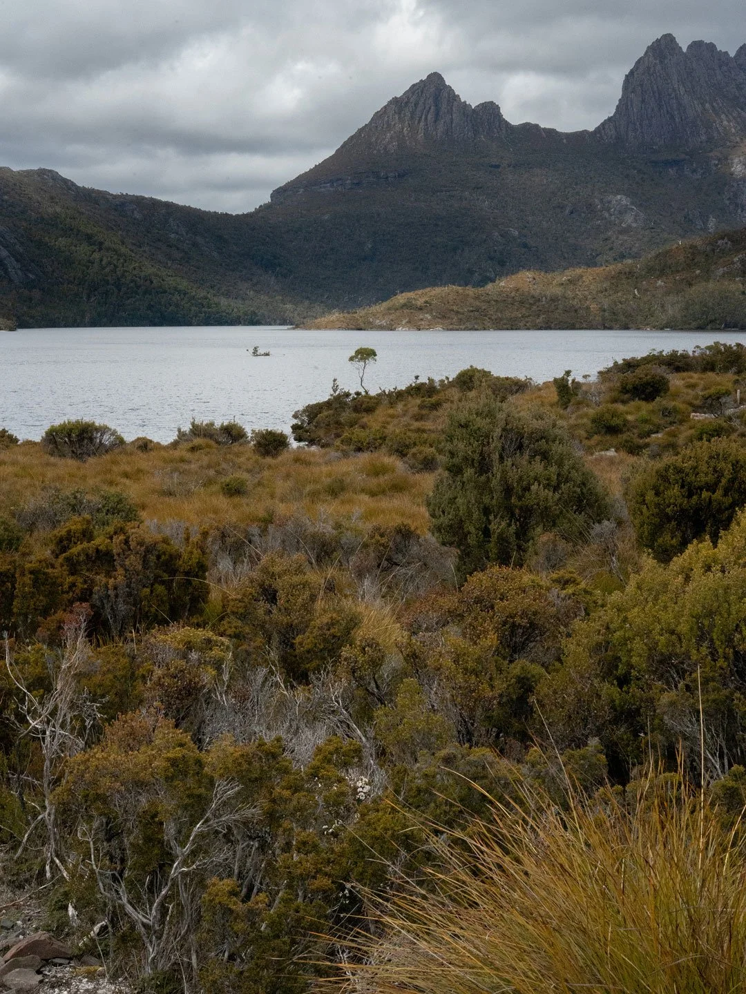 Cradle Mountain landscape with dramatic Tasmanian wilderness