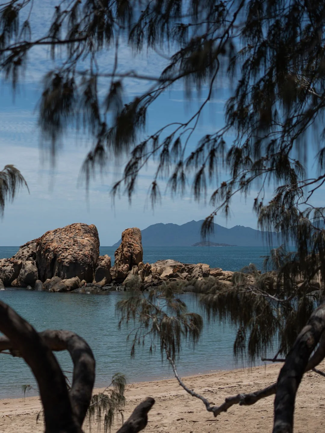 Tropical Australian beach framed by coastal trees