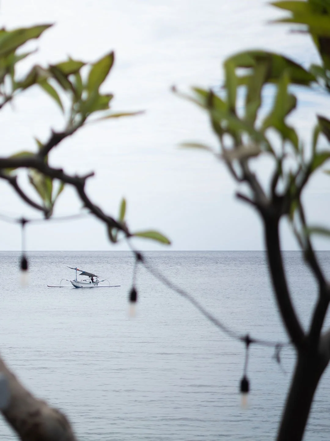 Minimal tropical seascape framed by tree branches in Bali