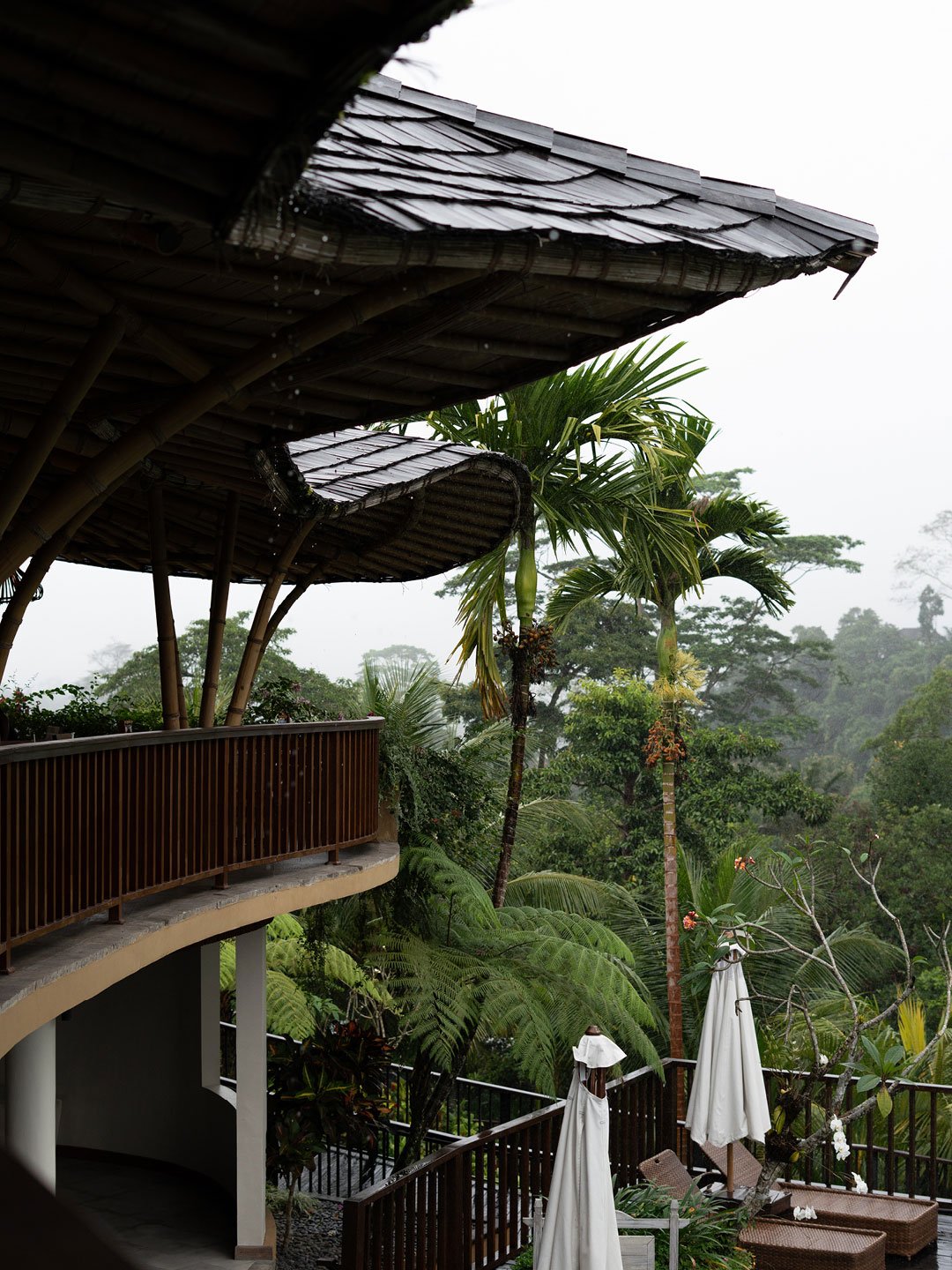 Boutique jungle retreat overlooking lush Bali rainforest