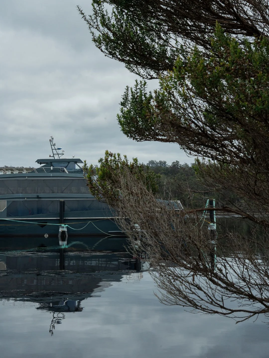 Cruise boat reflected in still water surrounded by native trees