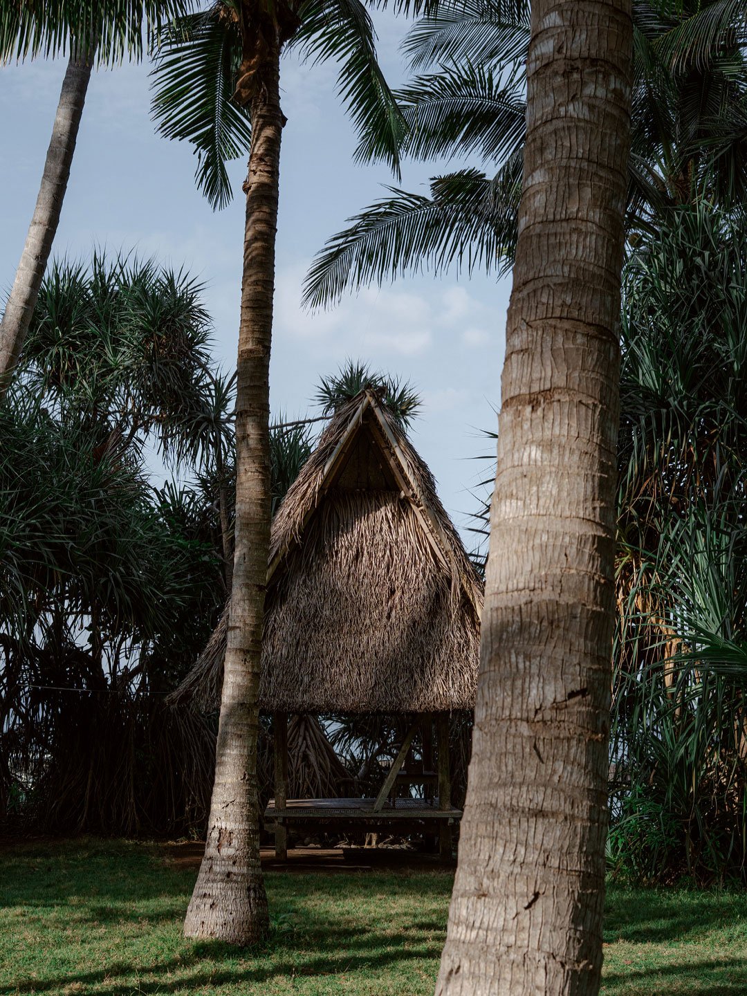 Traditional Balinese hut hidden within tropical gardens