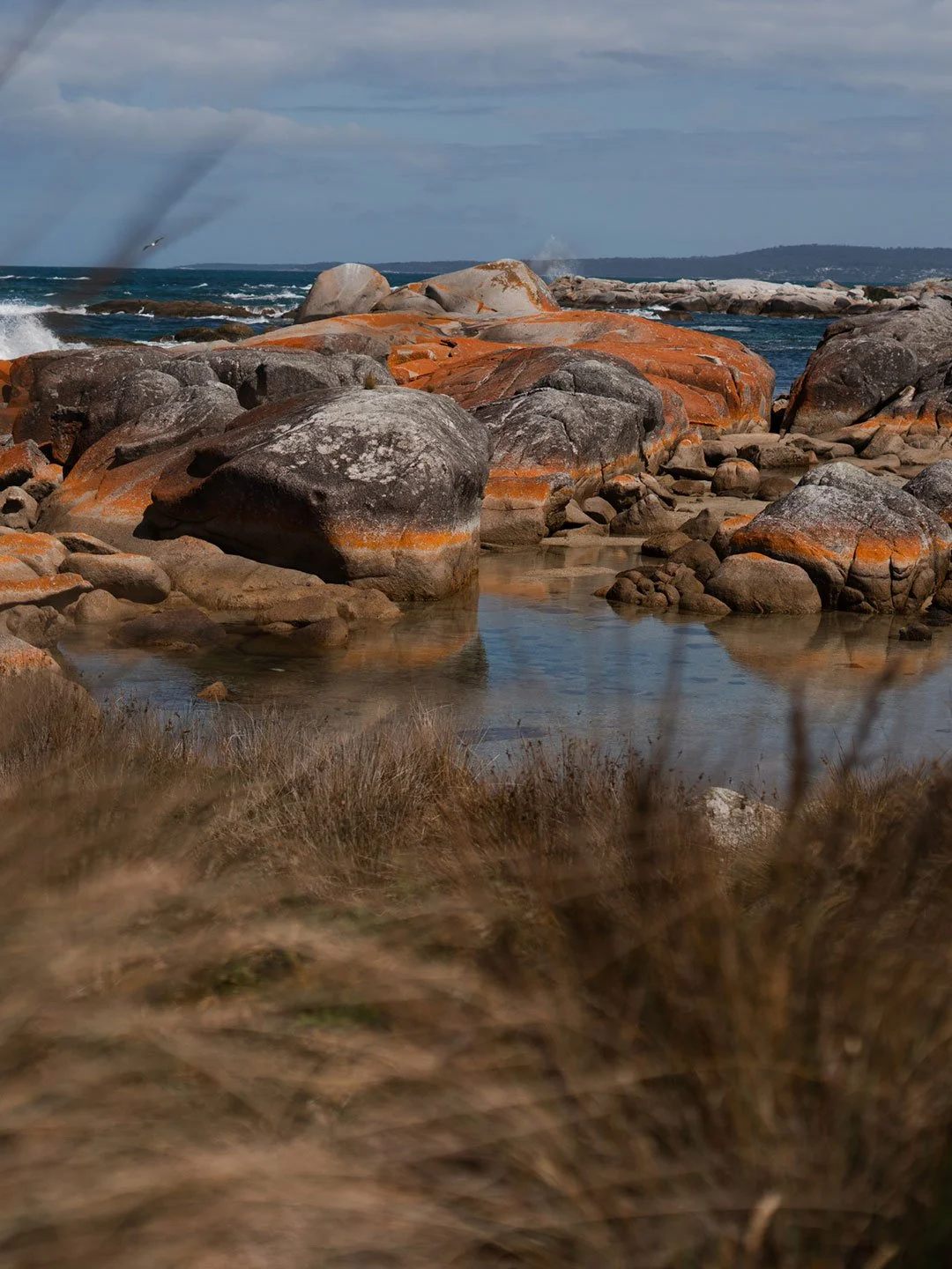 Orange lichen-covered rocks at Bay of Fires, Tasmania