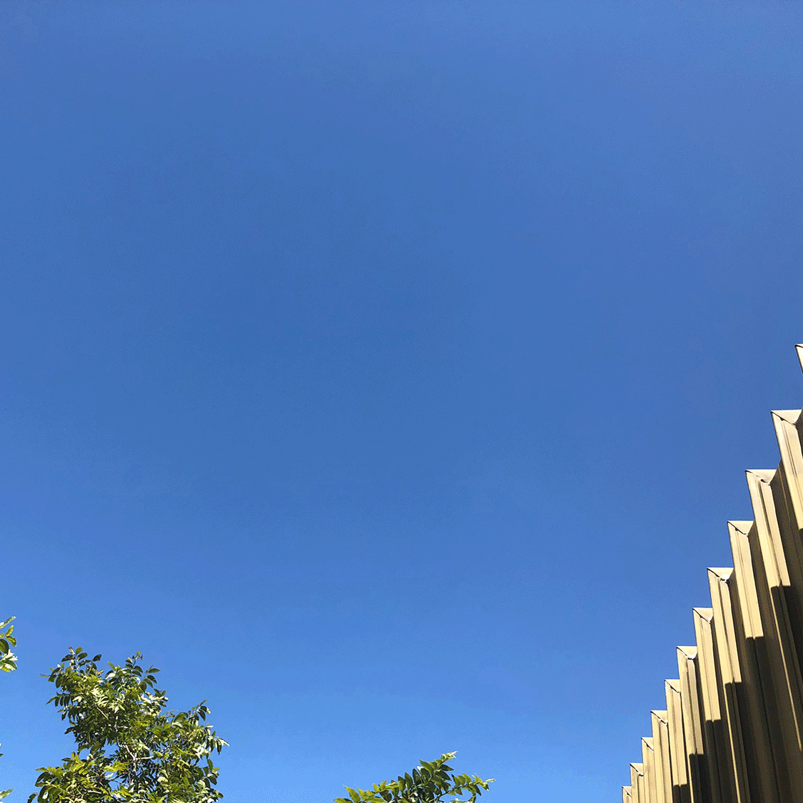 Perth_architect.gif