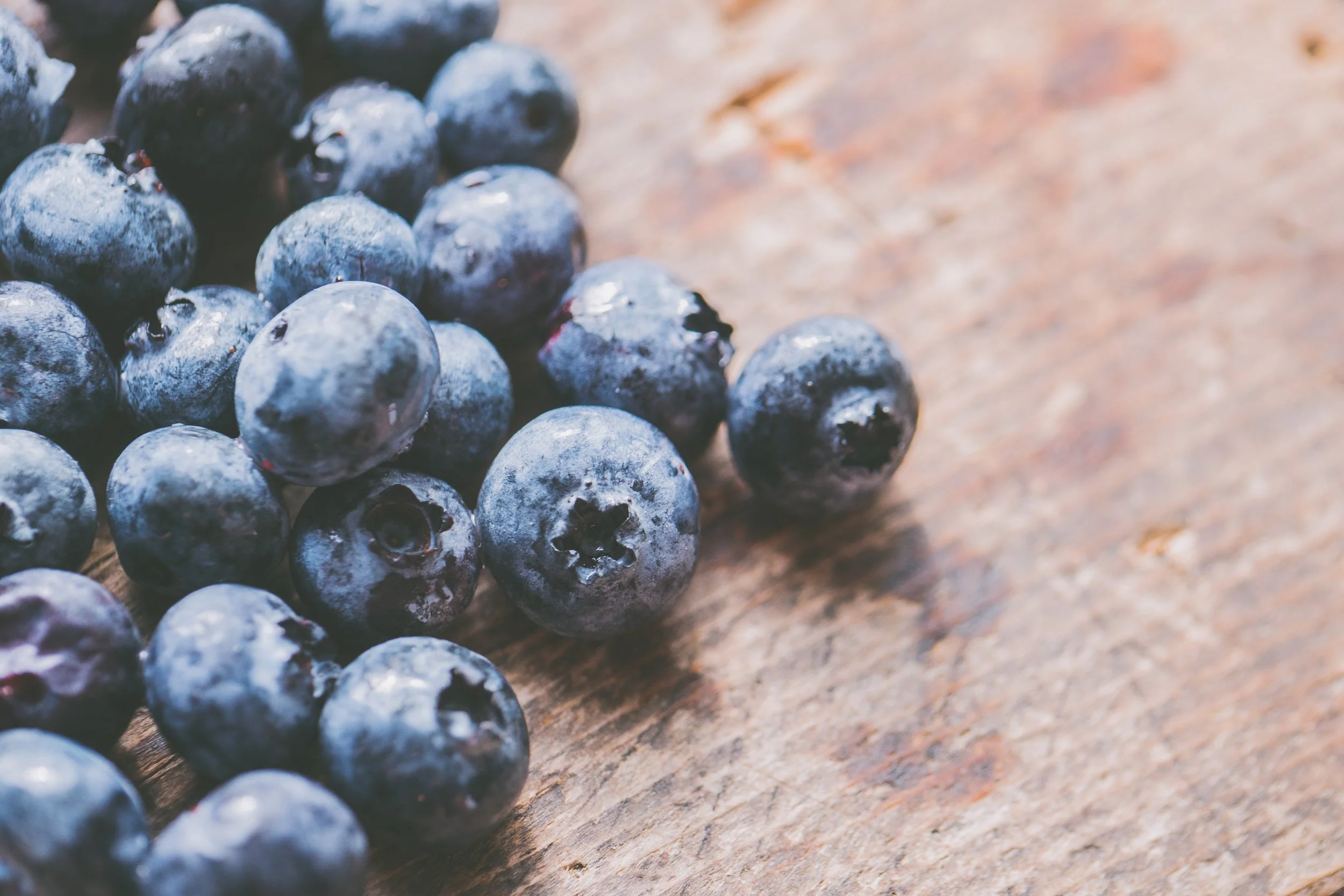 wildblueberries.jpg