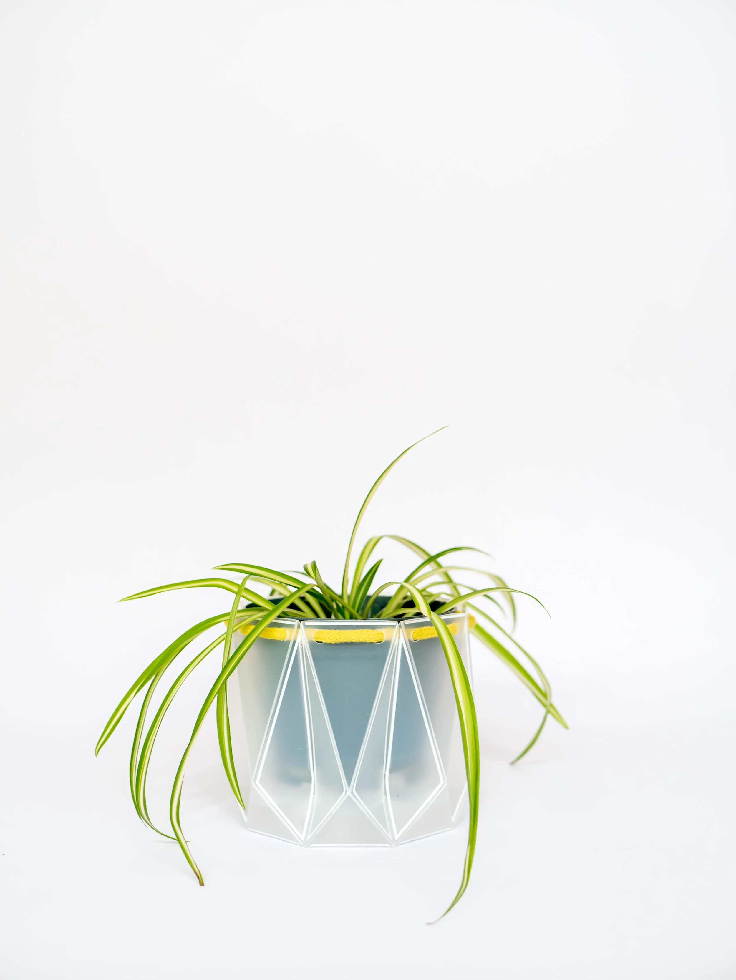 Eco-Friendly Plant Pot | Potr Pots