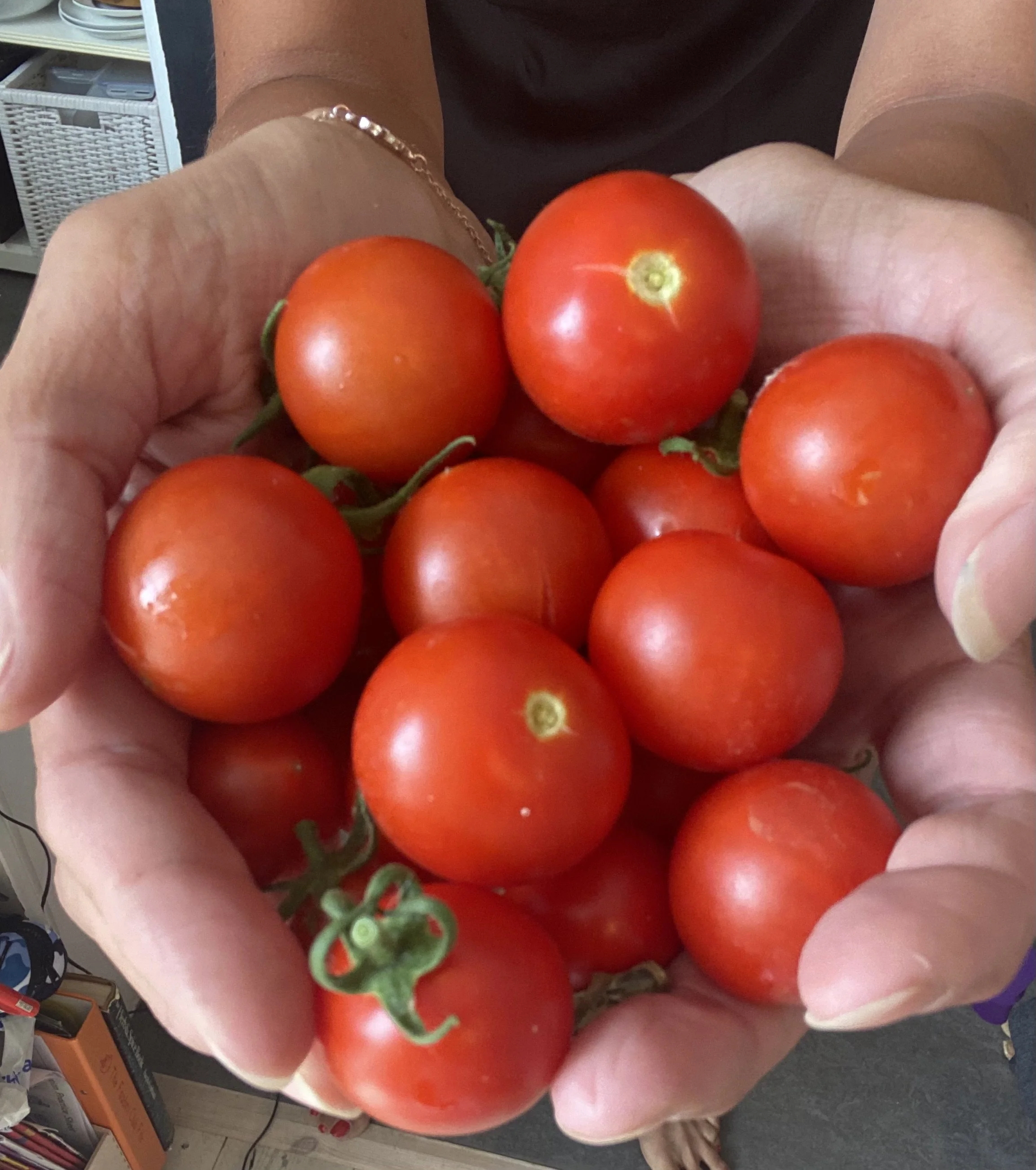 The Beautiful Healthy home ‘Sustainable Life’ List