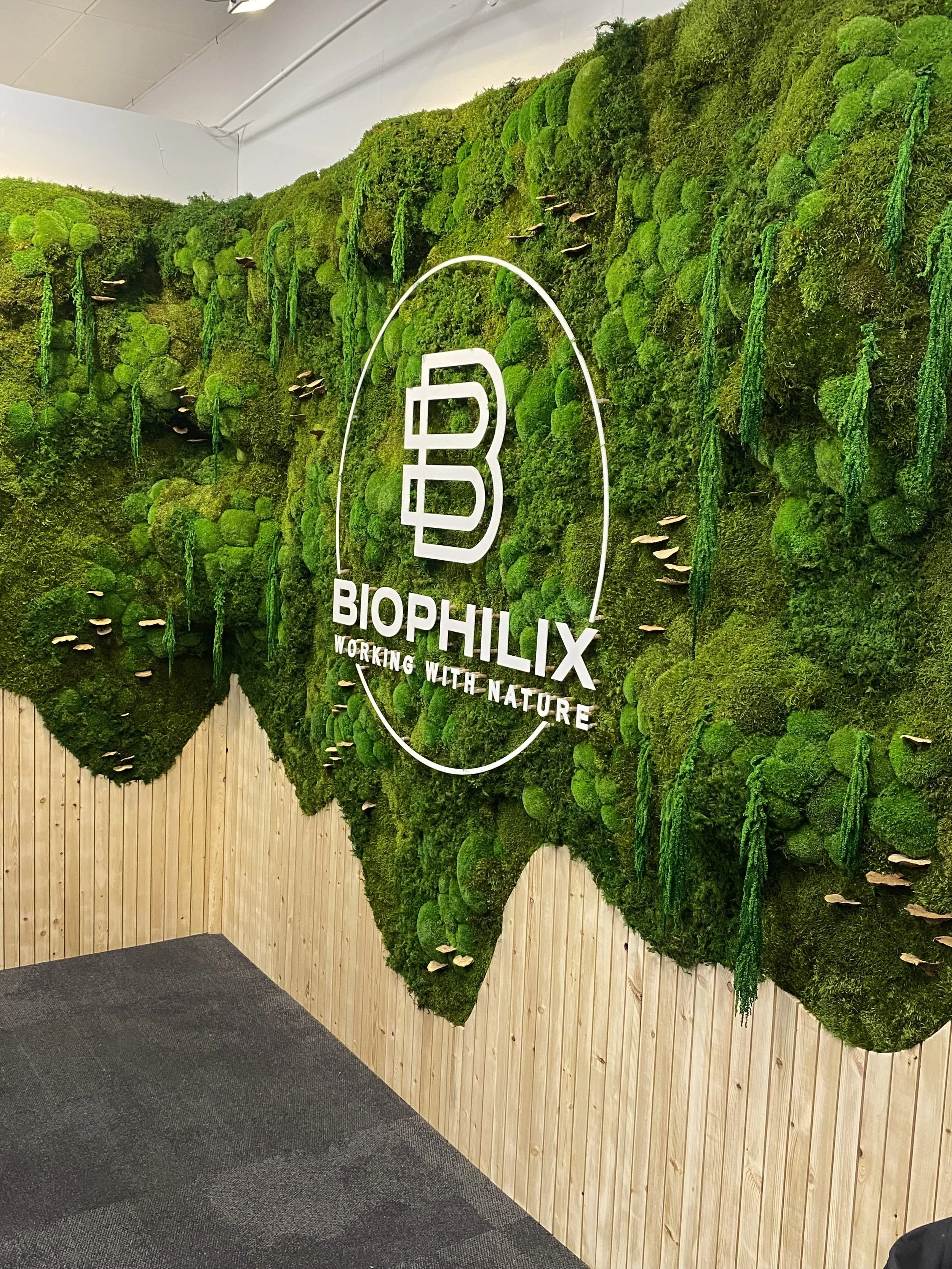 Commercial offices: 2/10: How to create a Biophilic workspace 