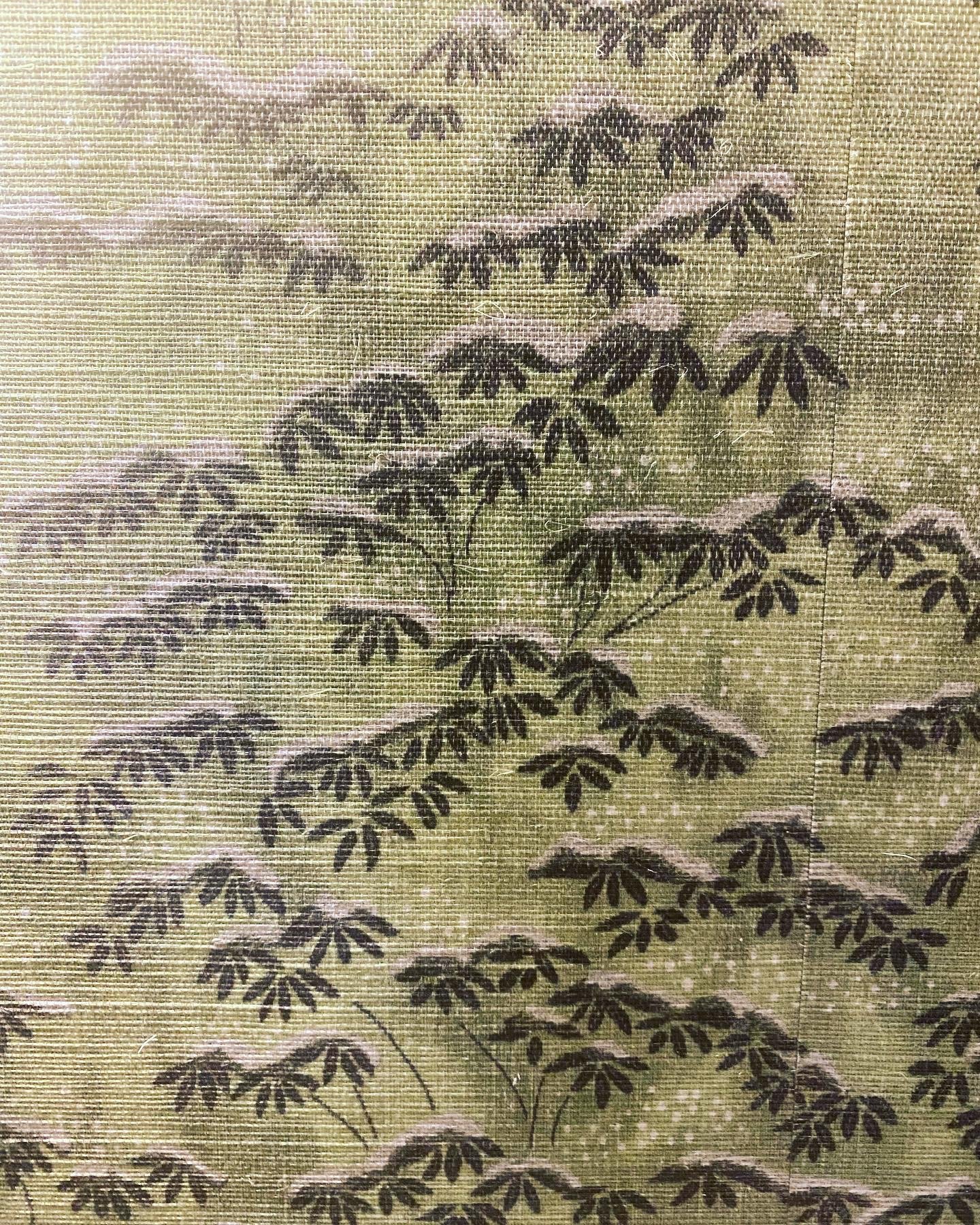 bamboo.jpg