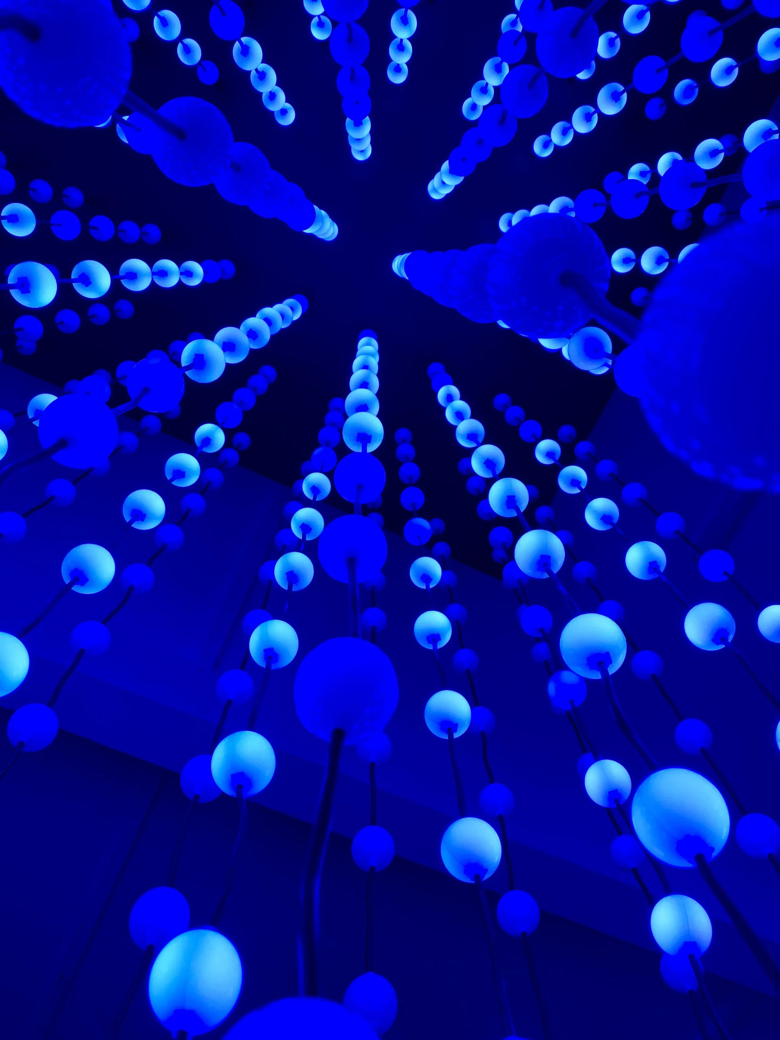Blue_Lights.jpeg