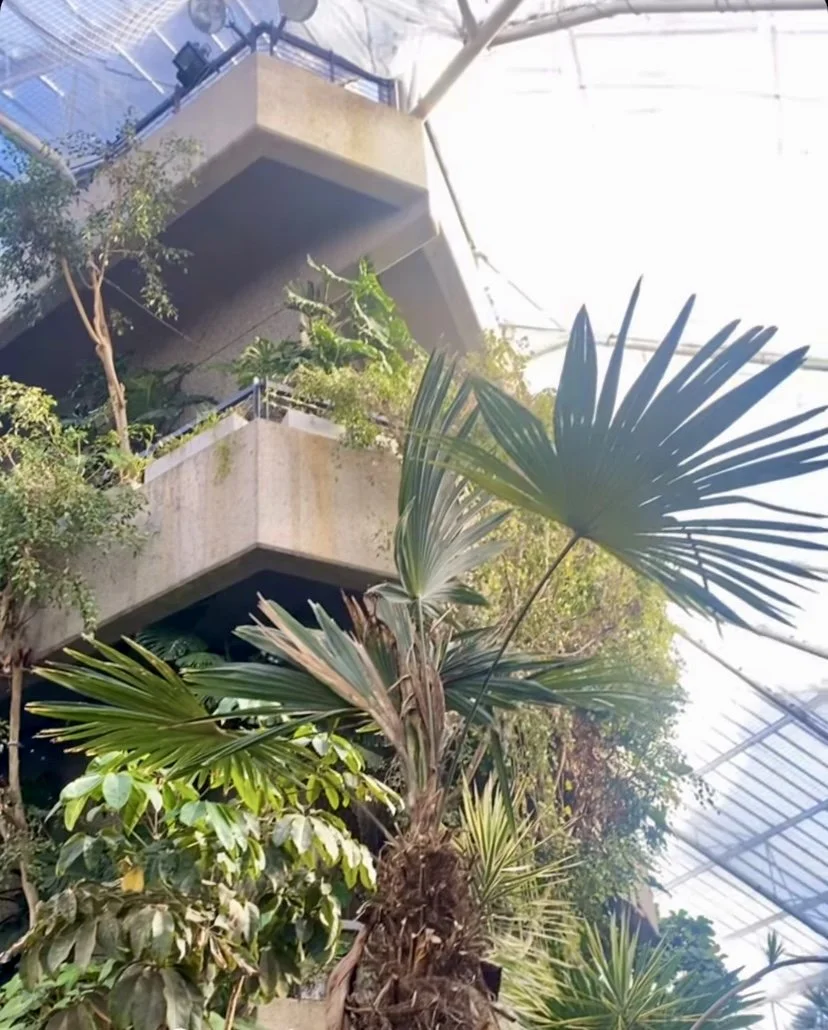 brutalism.jpeg