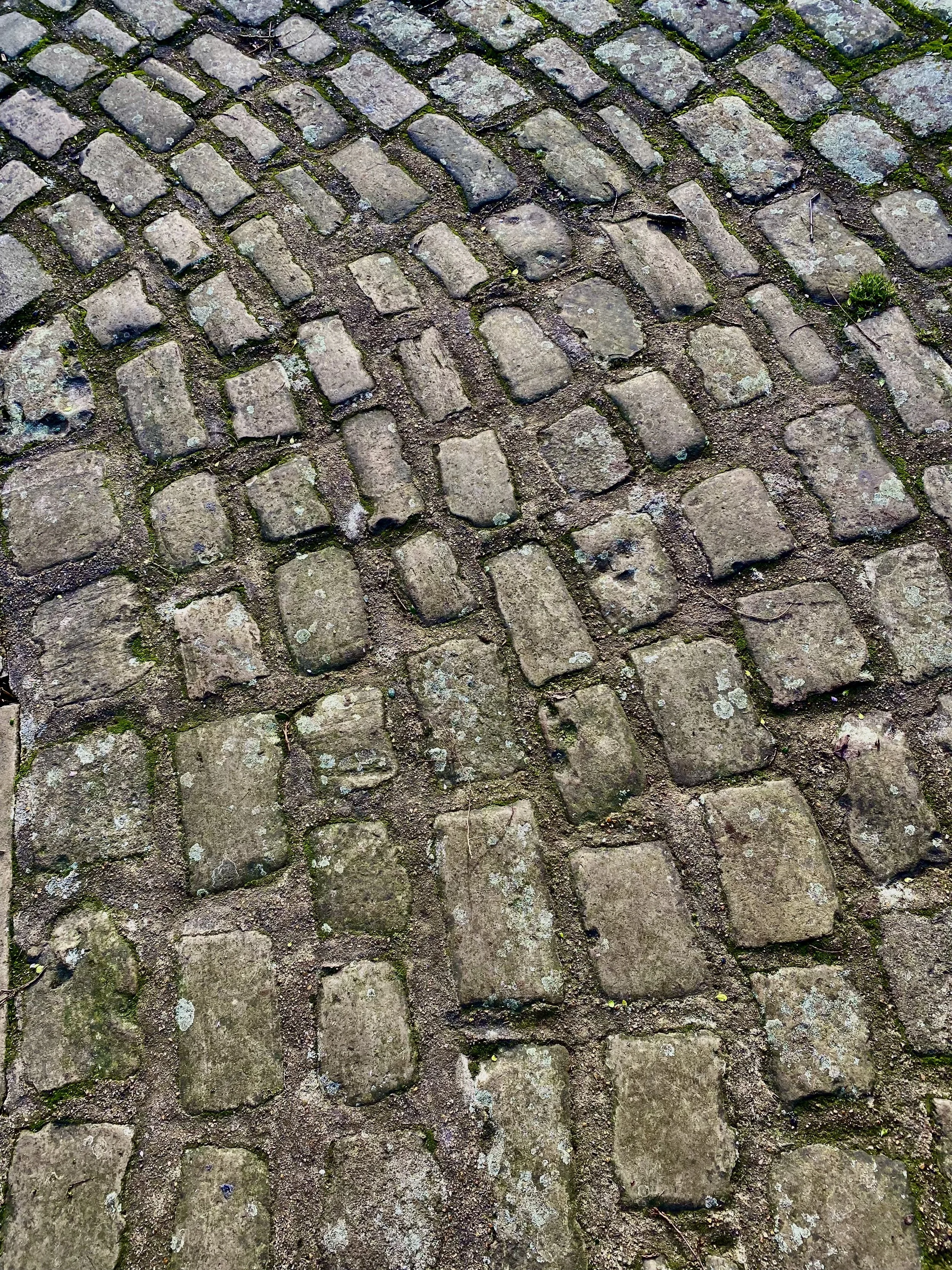 pavement.jpeg