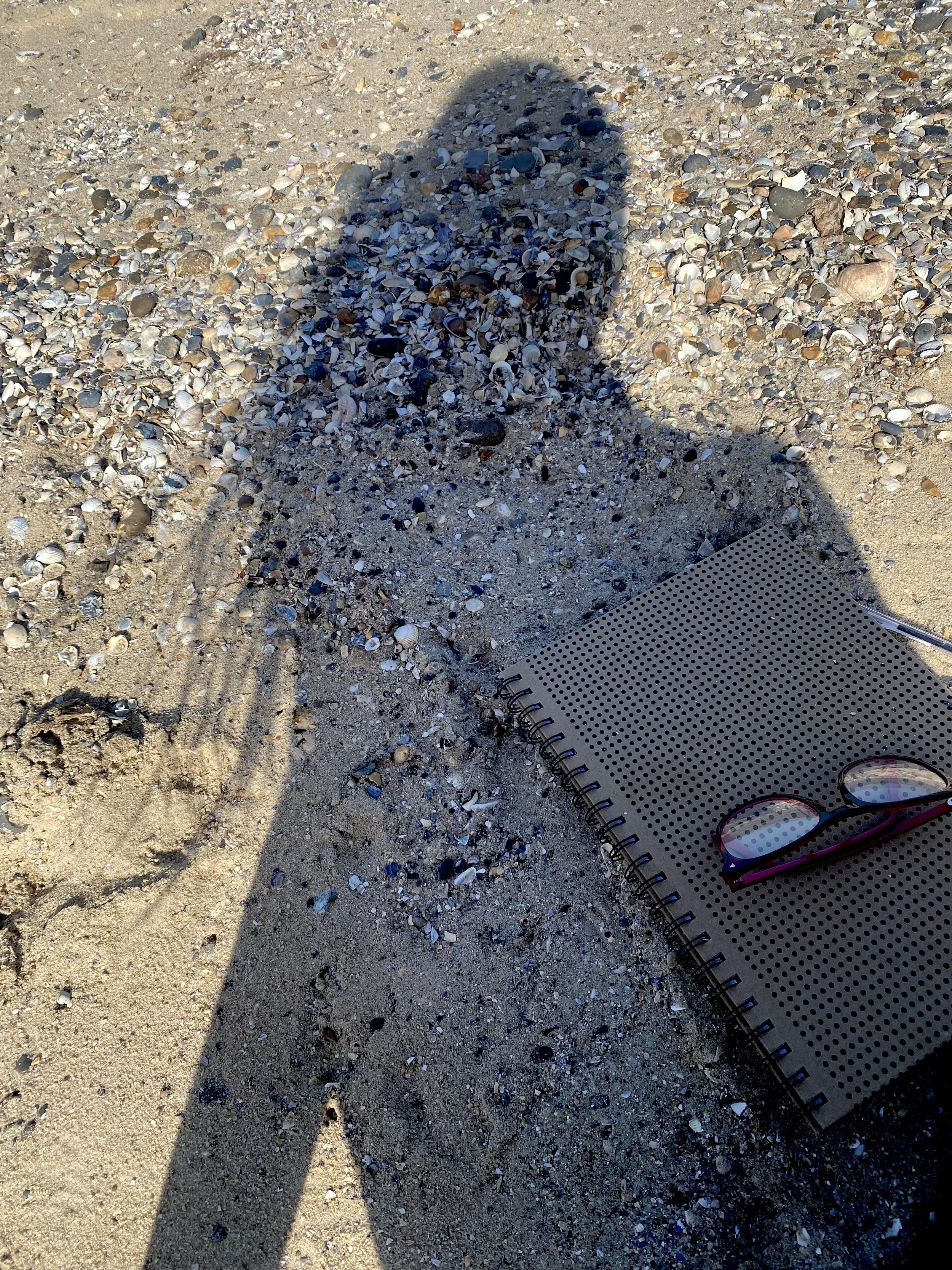 shadow.jpeg