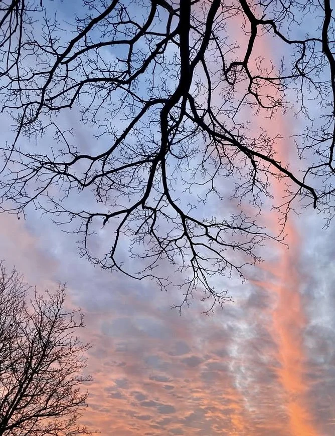 Sky.jpeg
